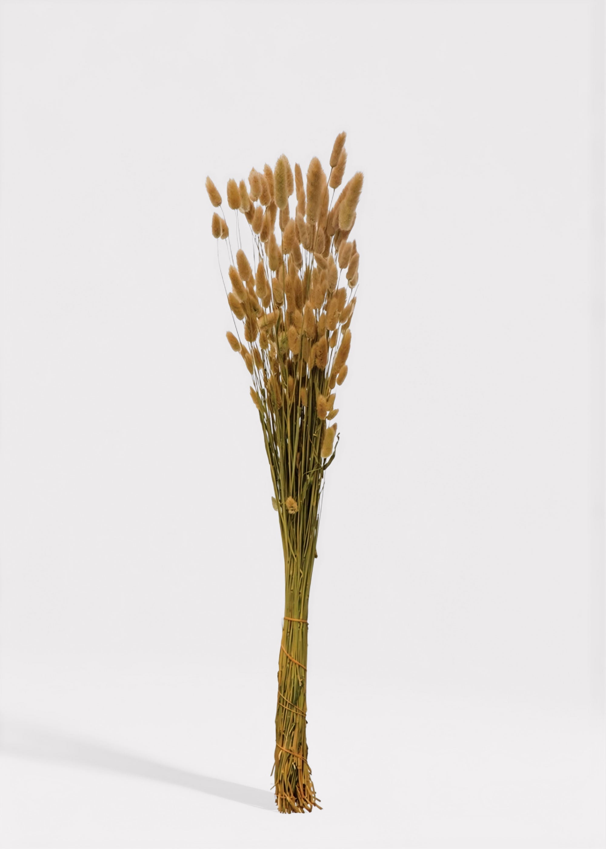 Natural Dried Grass Bundle for Vase Styling