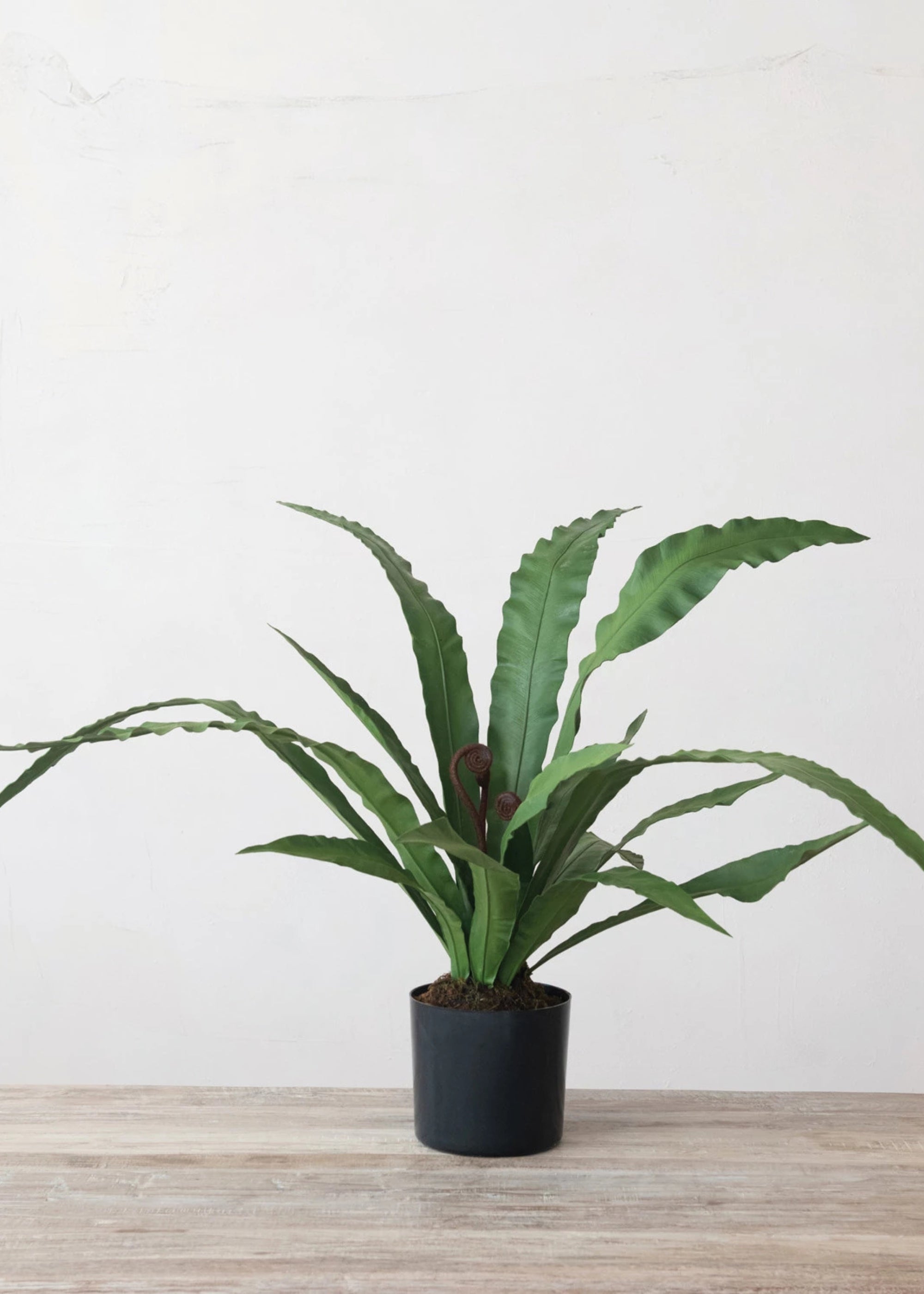 Natural Green Artificial Fern Potted Plant for Home Decor