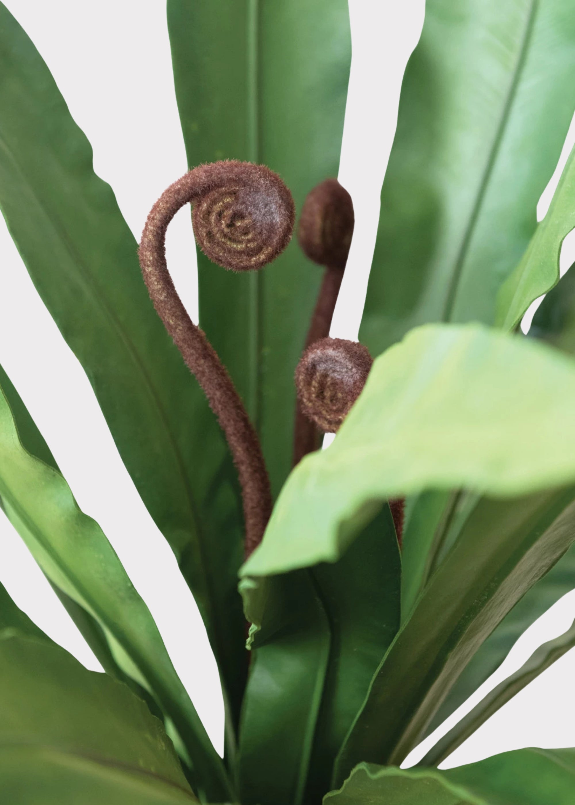 Natural Green Artificial Fern Potted Plant for Table Centerpiece