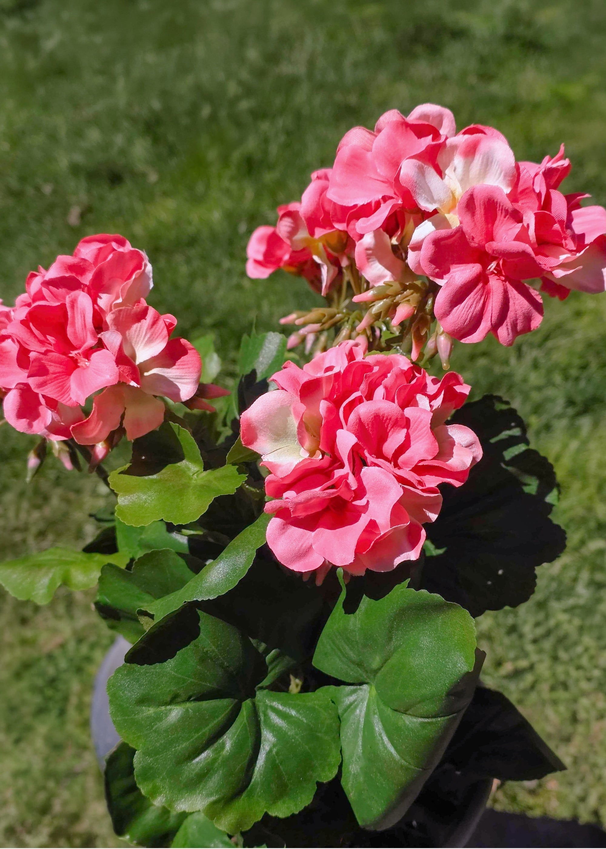 Pink Artificial Geranium Bush for Table Centerpiece
