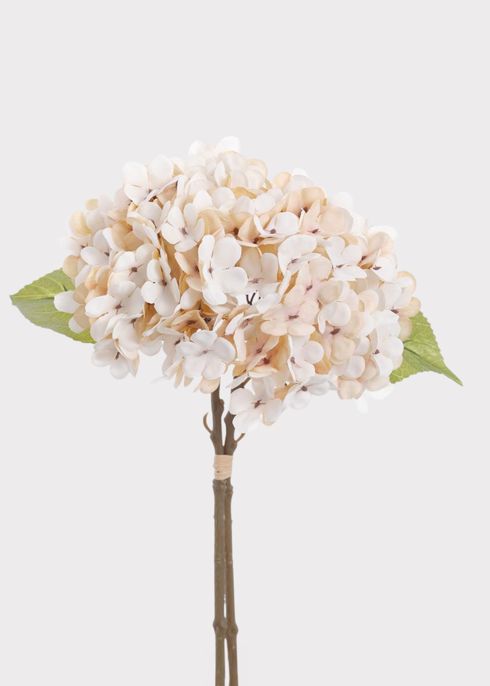 Cream Artificial Hydrangea Bundle for Vase Styling