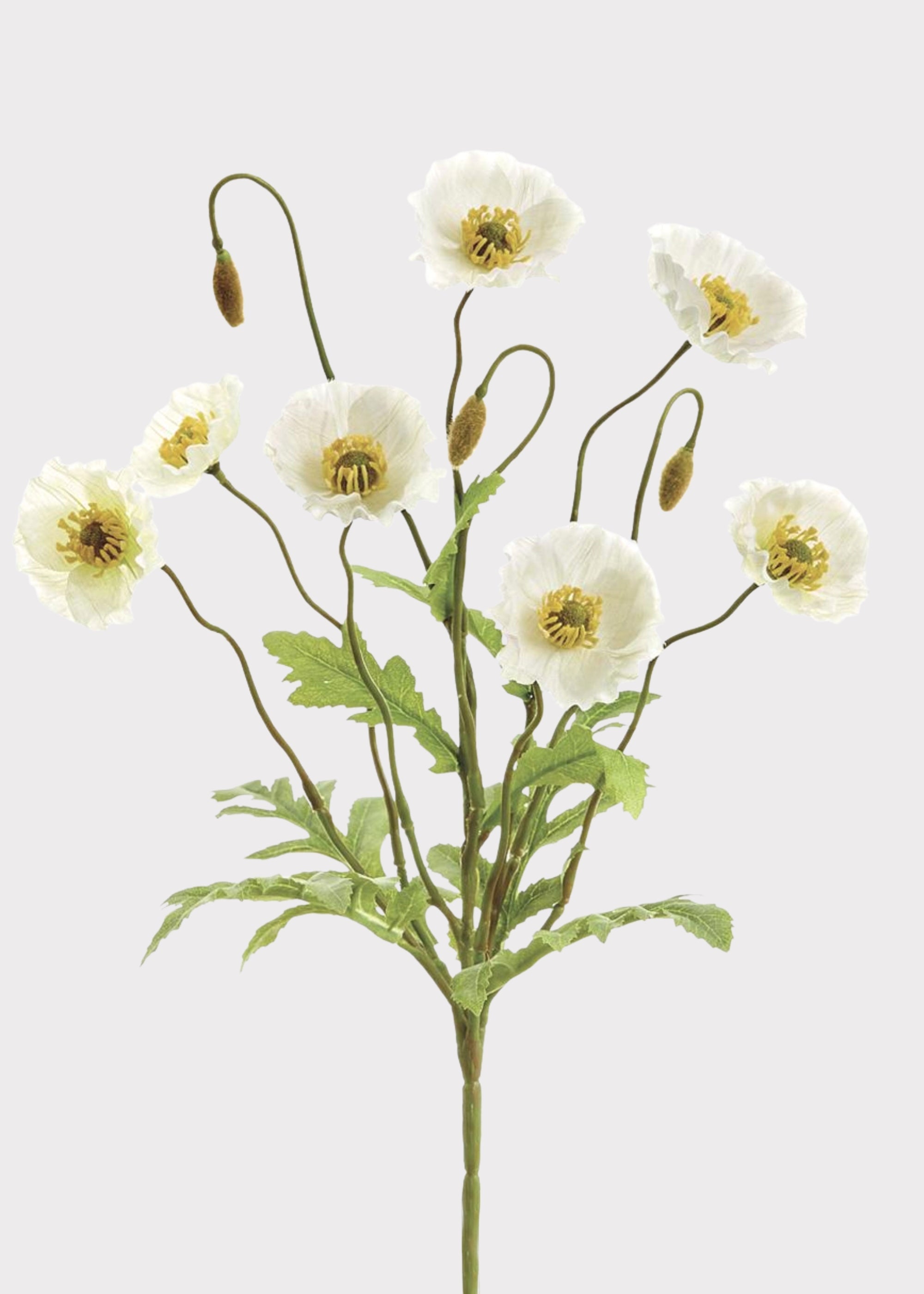 Cream Artificial Poppy Bush for Vase Styling