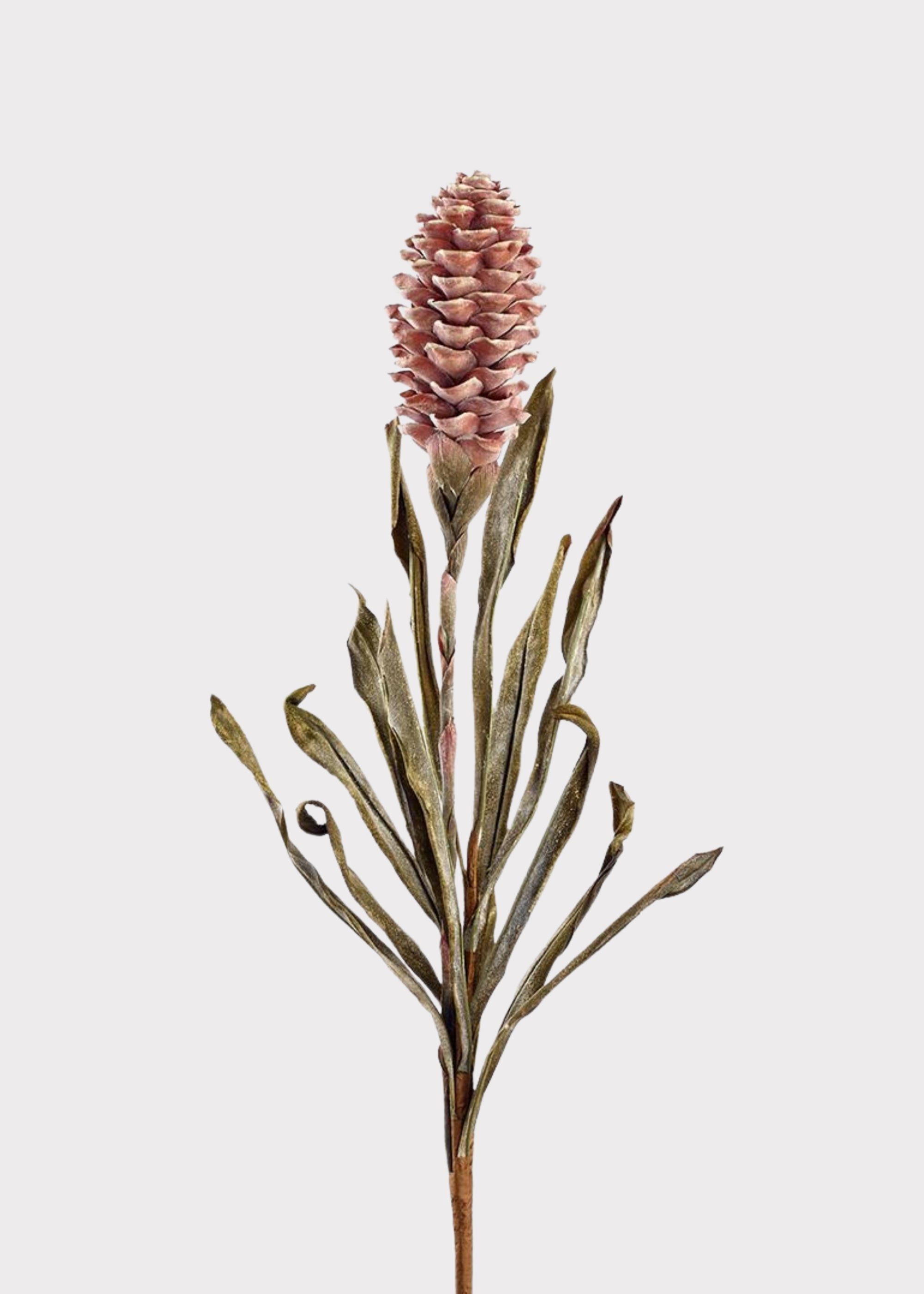 Brown Artificial Look Tropical Ginger for Vase Styling