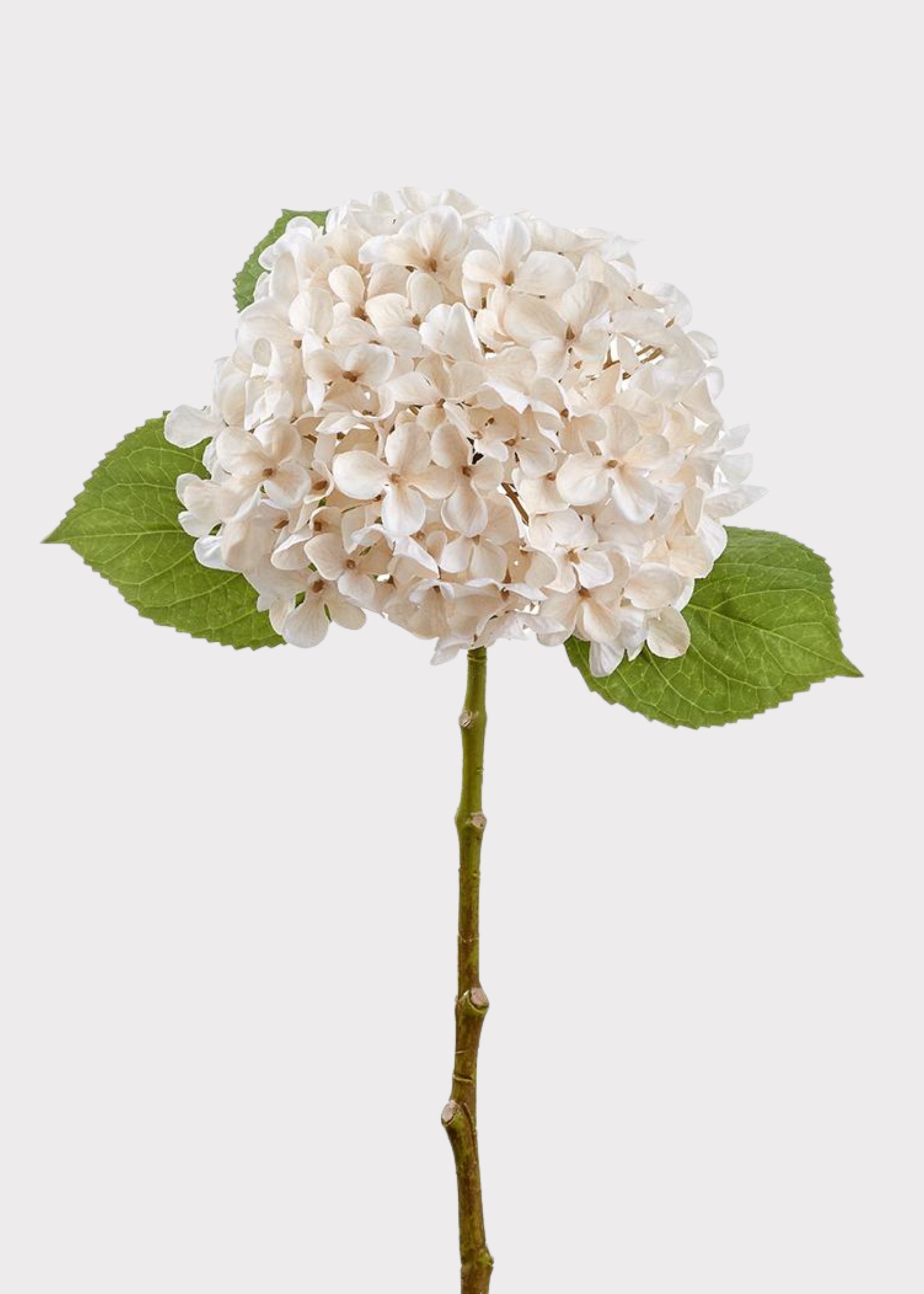 Cream Artificial Hydrangea Stem for Vase Styling