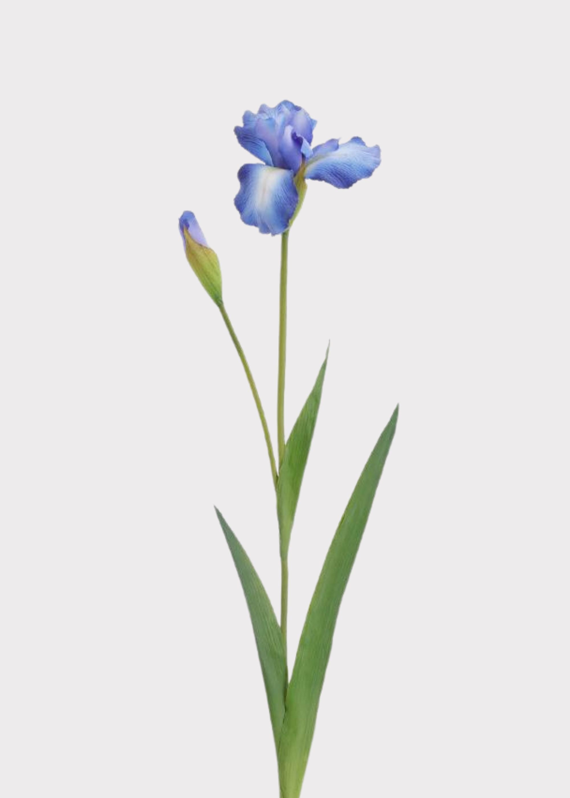 Blue Real Touch Artificial Iris Stem for Vase Styling