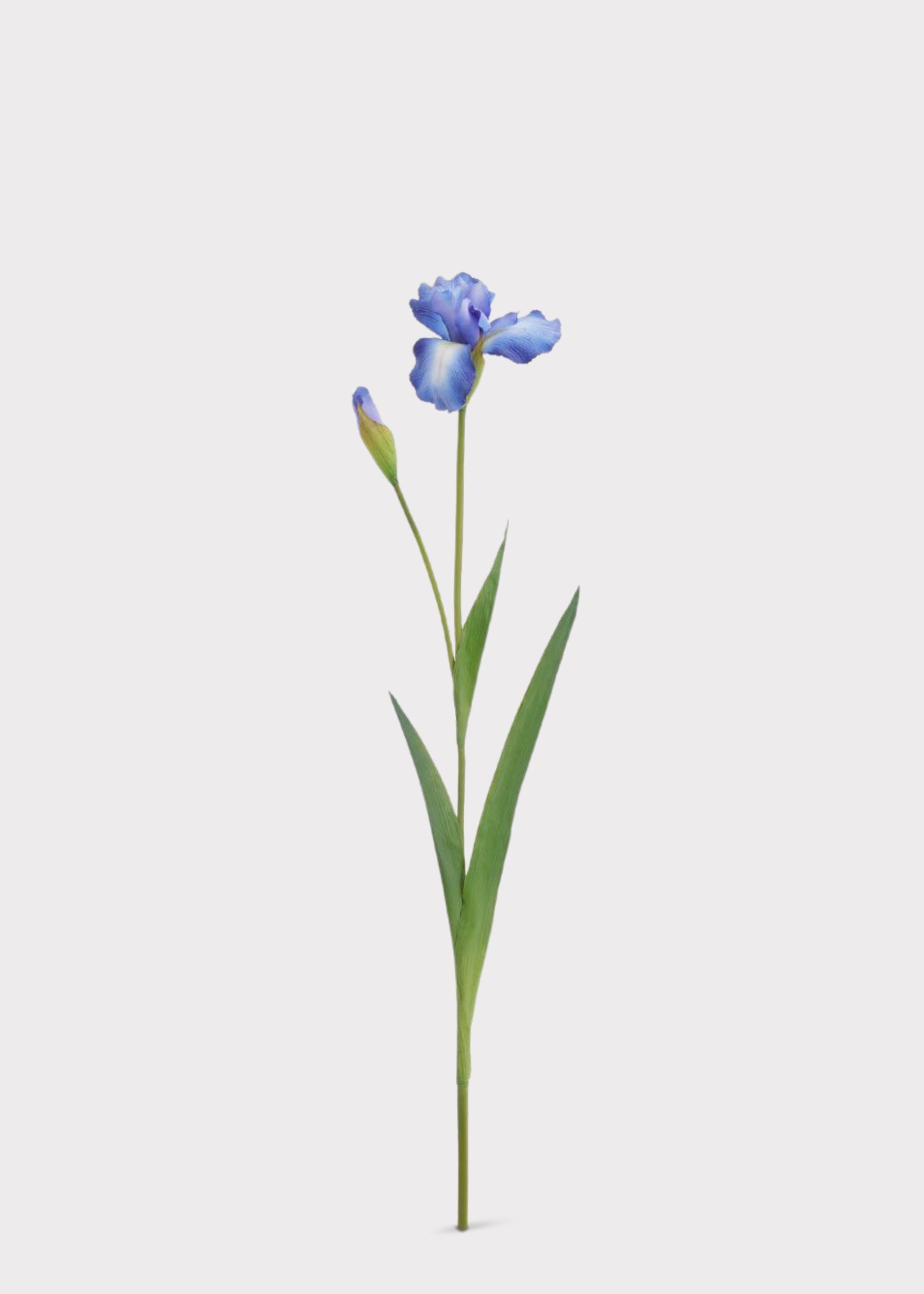 Blue Real Touch Artificial Iris Stem for Home Decor