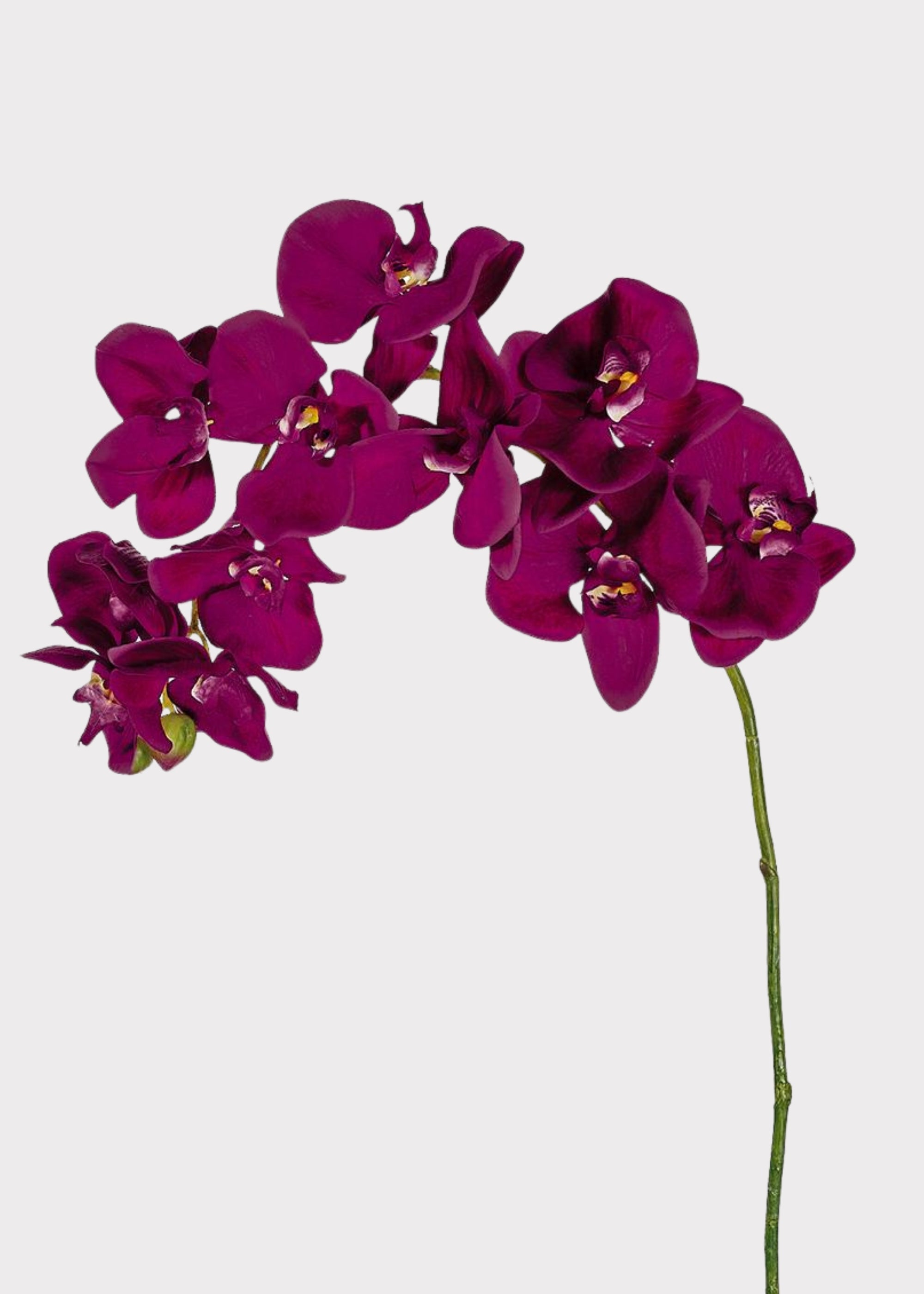 Fuchsia Artificial Orchid Stem for Vase Styling