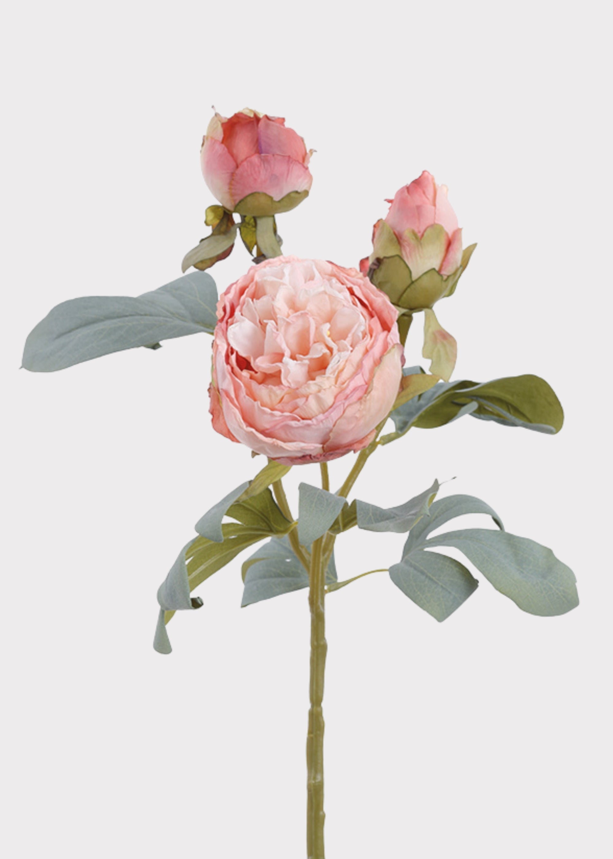 Pink Artificial Peony Stem for Vase Styling