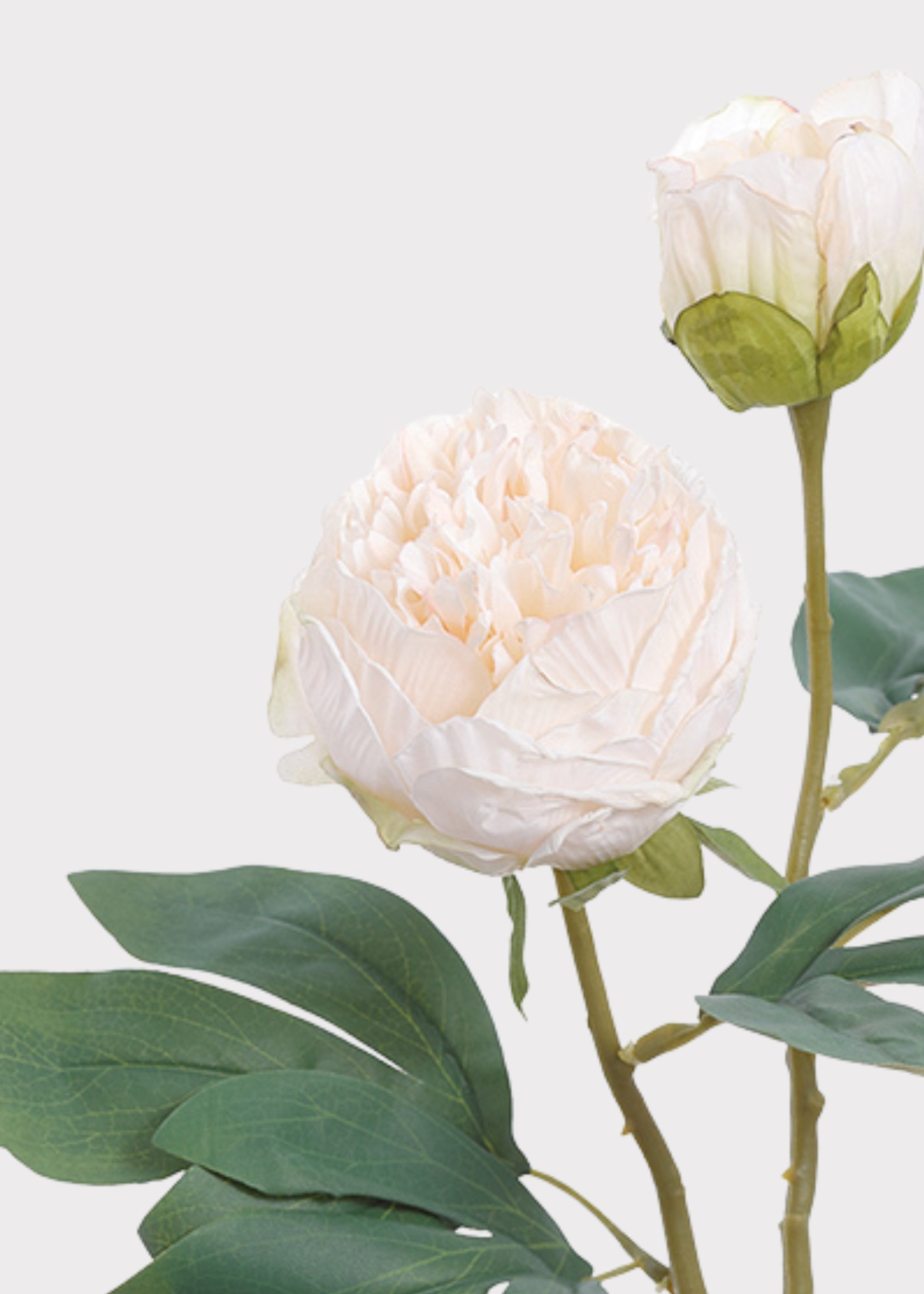 Cream Artificial Peony Stem for Table Centerpiece