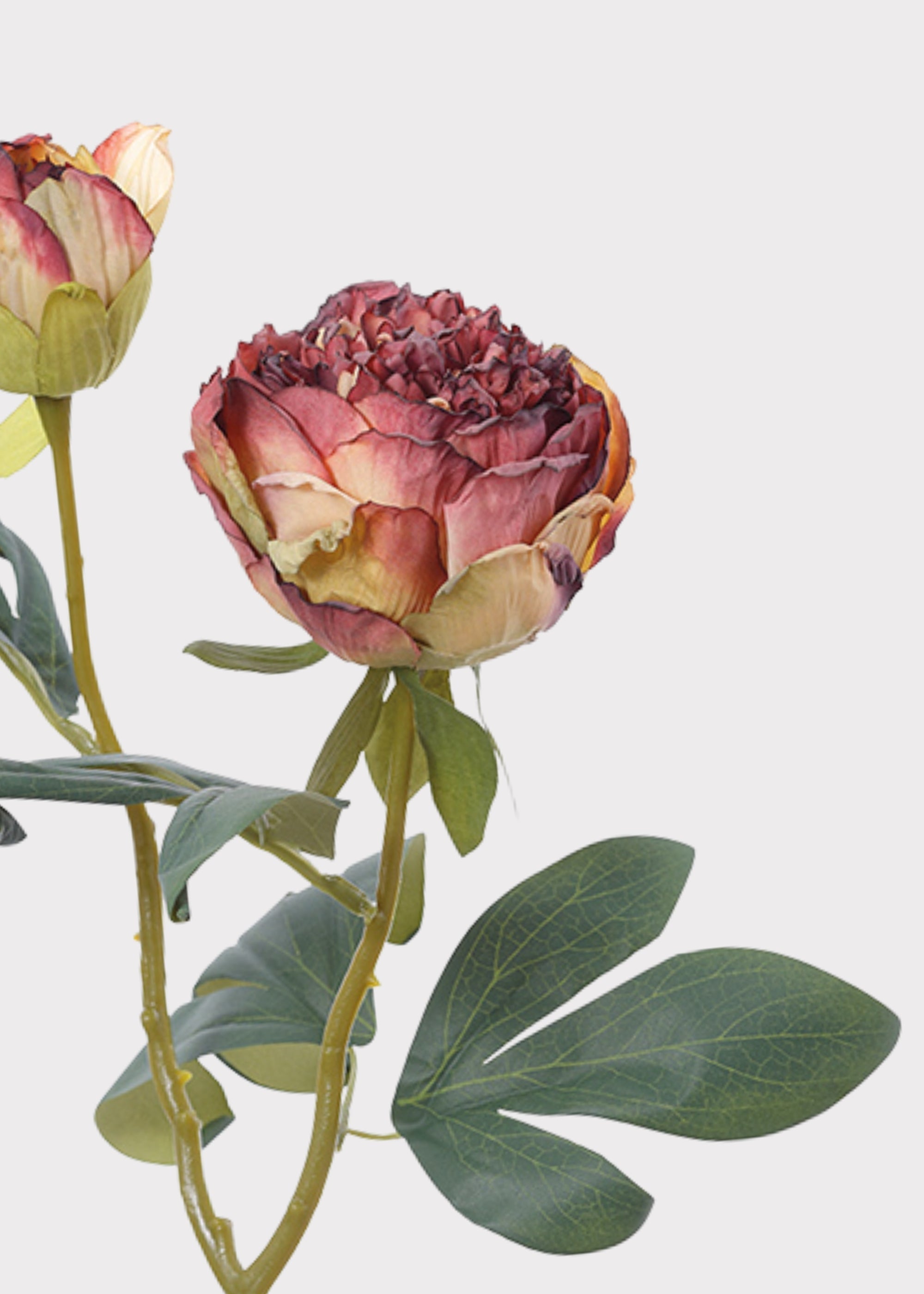 Burgundy Artificial Peony Stem for Table Centerpiece