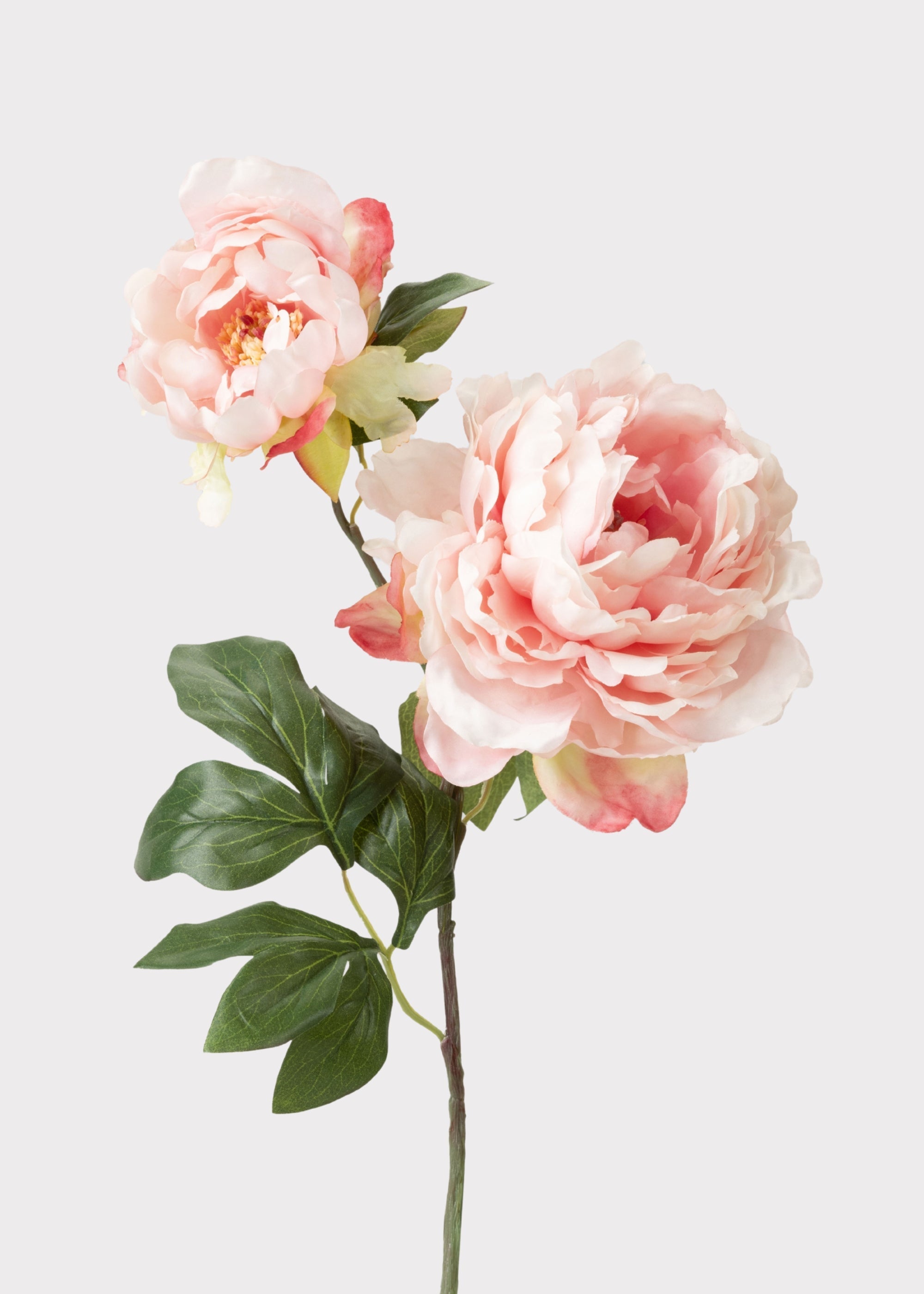 Pink Artificial Peony Stem for Vase Styling