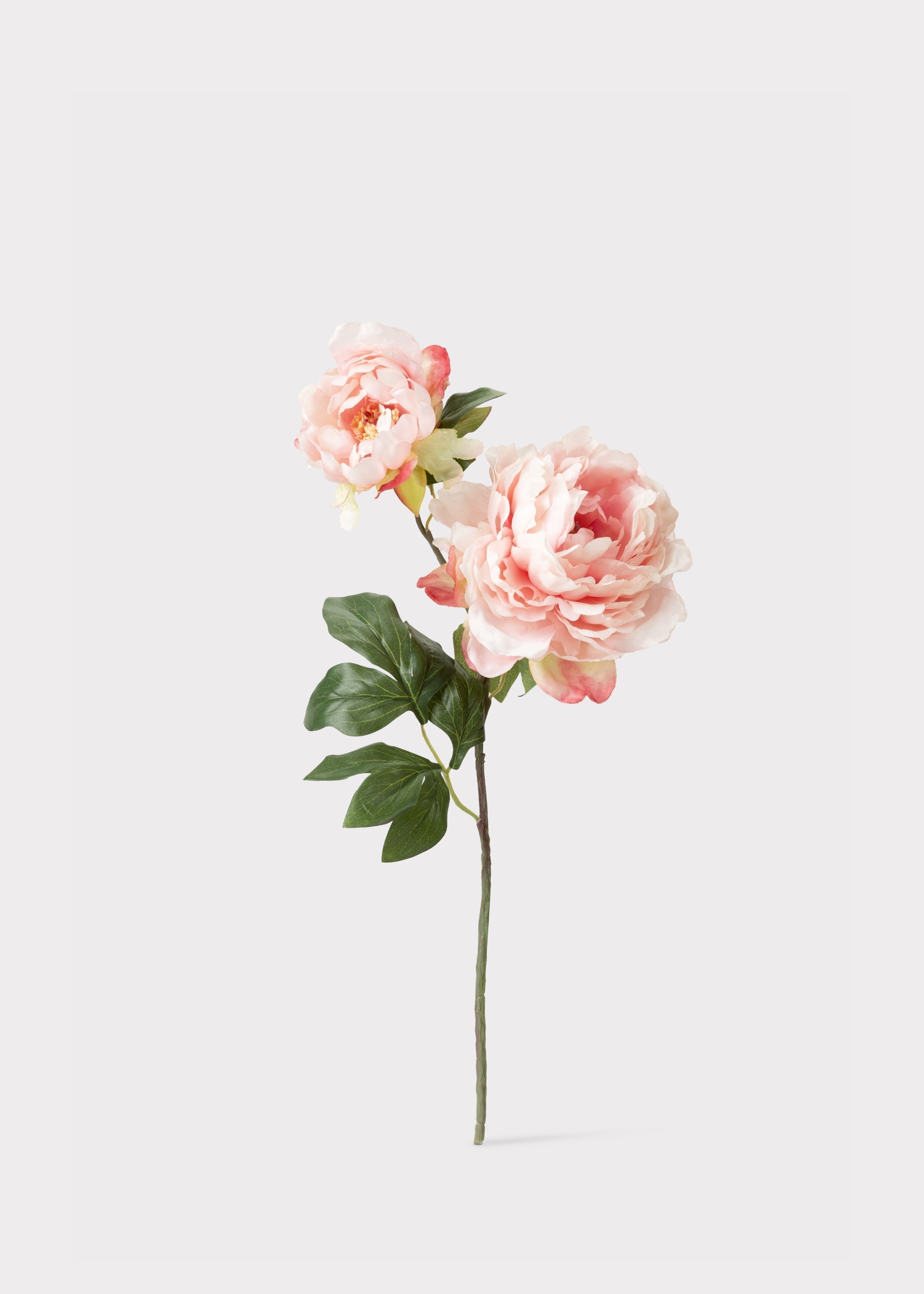 Pink Artificial Peony Stem for Home Decor