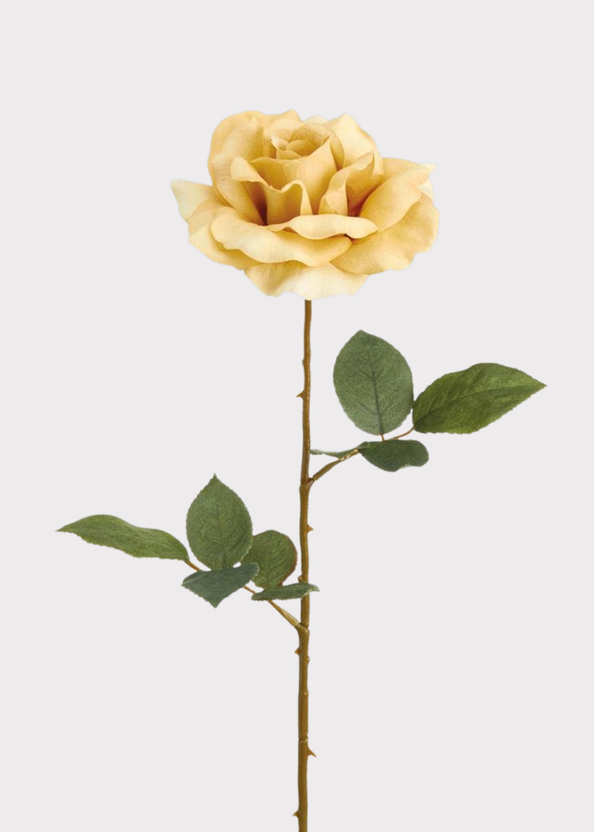 Beige Artificial Rose Stem for Vase Styling