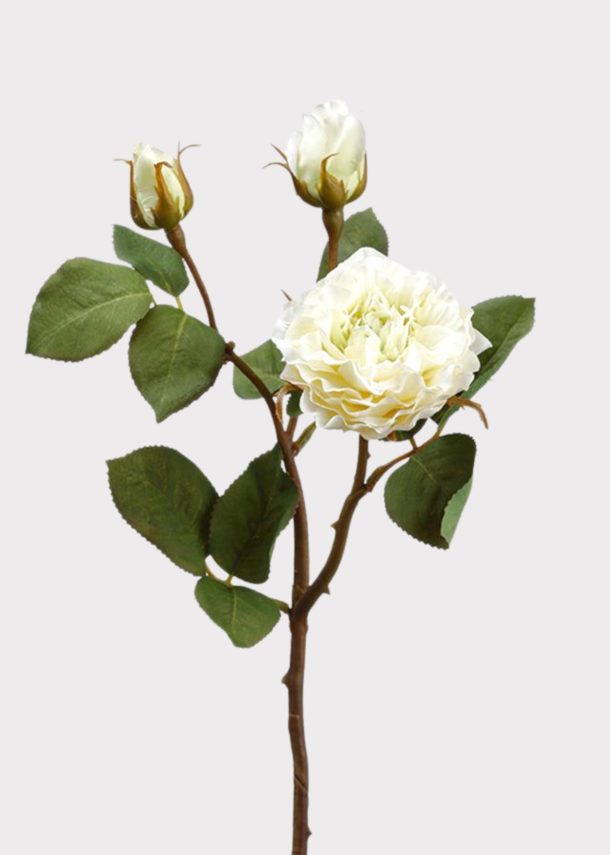 Cream Artificial Rose Spray for Vase Styling
