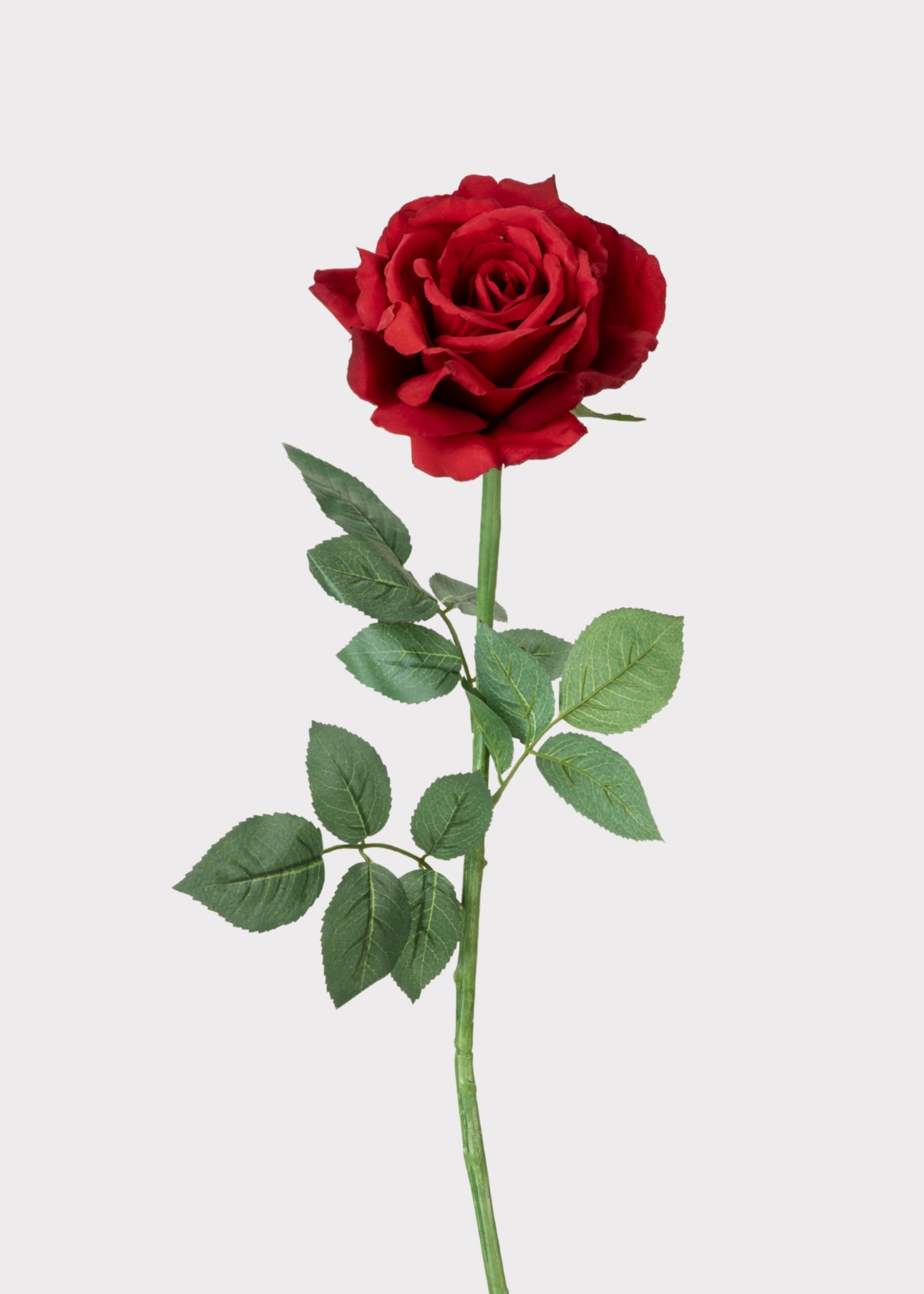 Red Artificial Rose Stem for Vase Styling