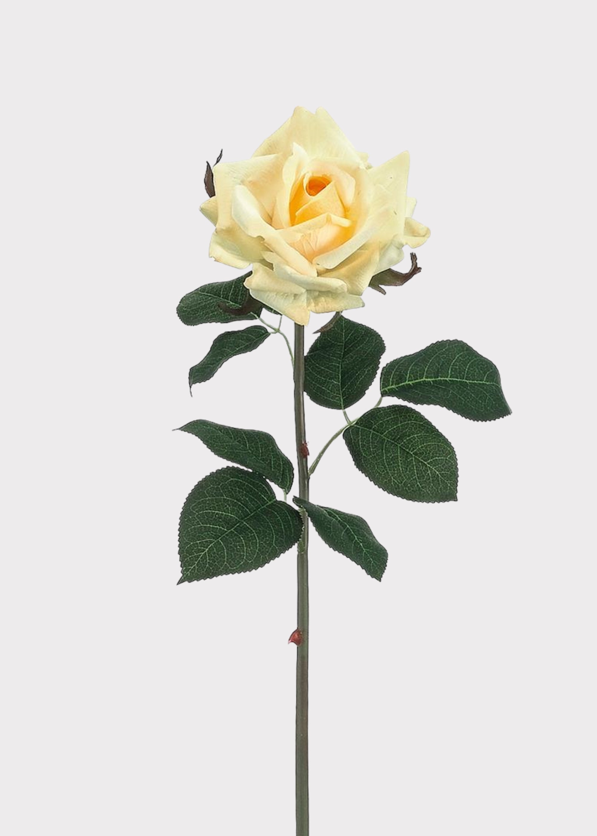 Yellow Real Touch Artificial Rose Stem for Vase Styling
