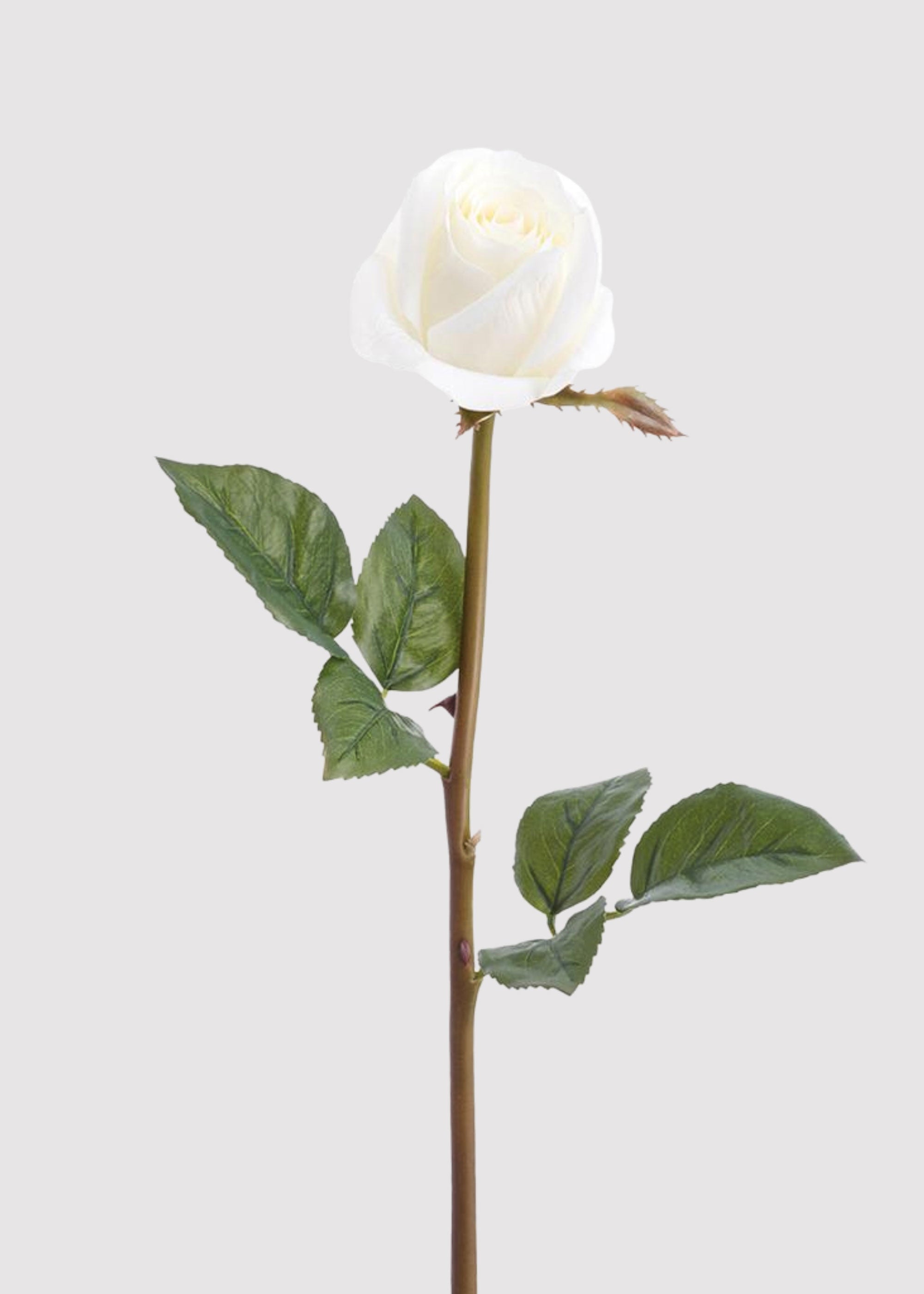 White Real Touch Artificial Rose Stem for Vase Styling