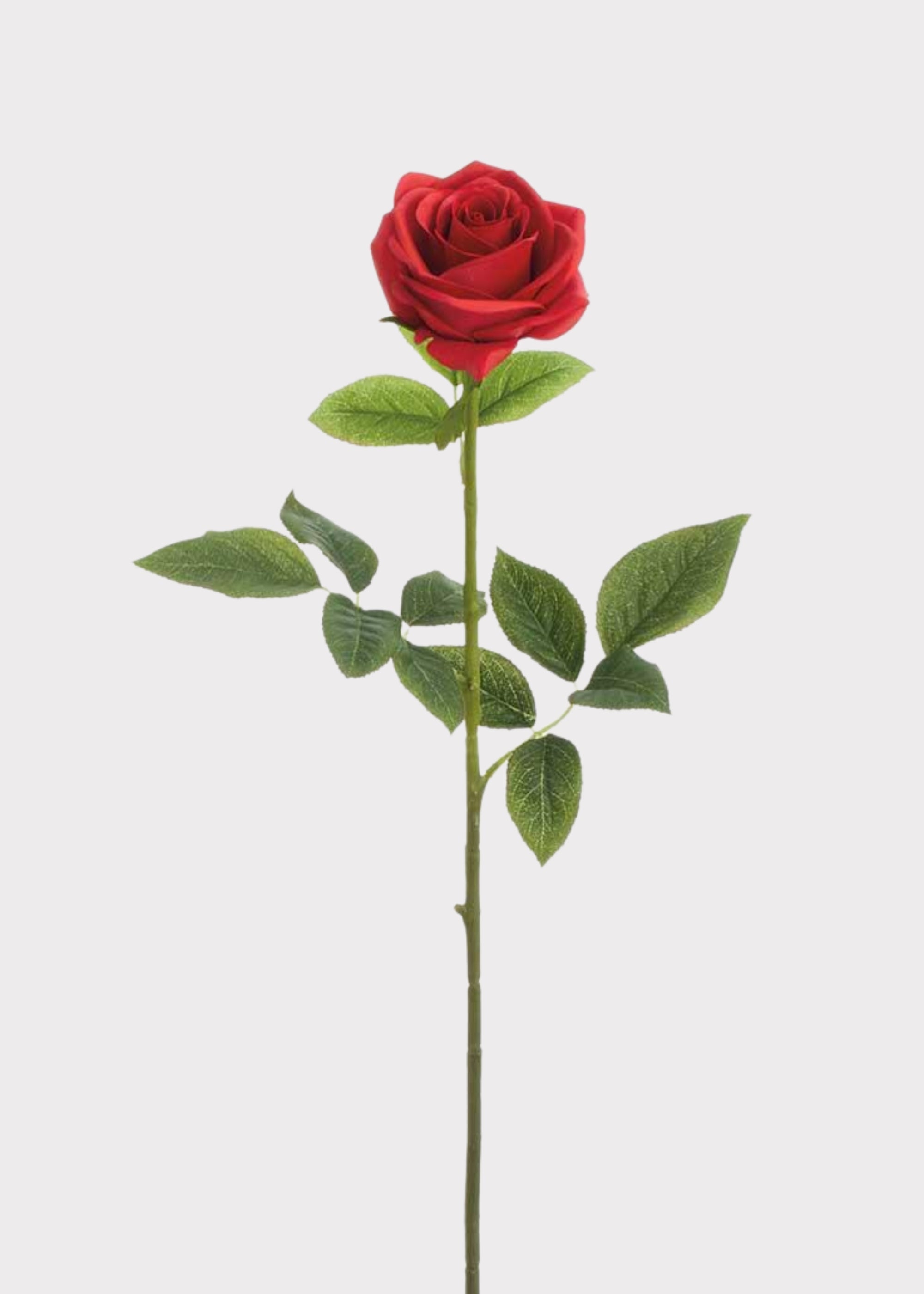 Red Real Touch Artificial Rose Stem for Vase Styling