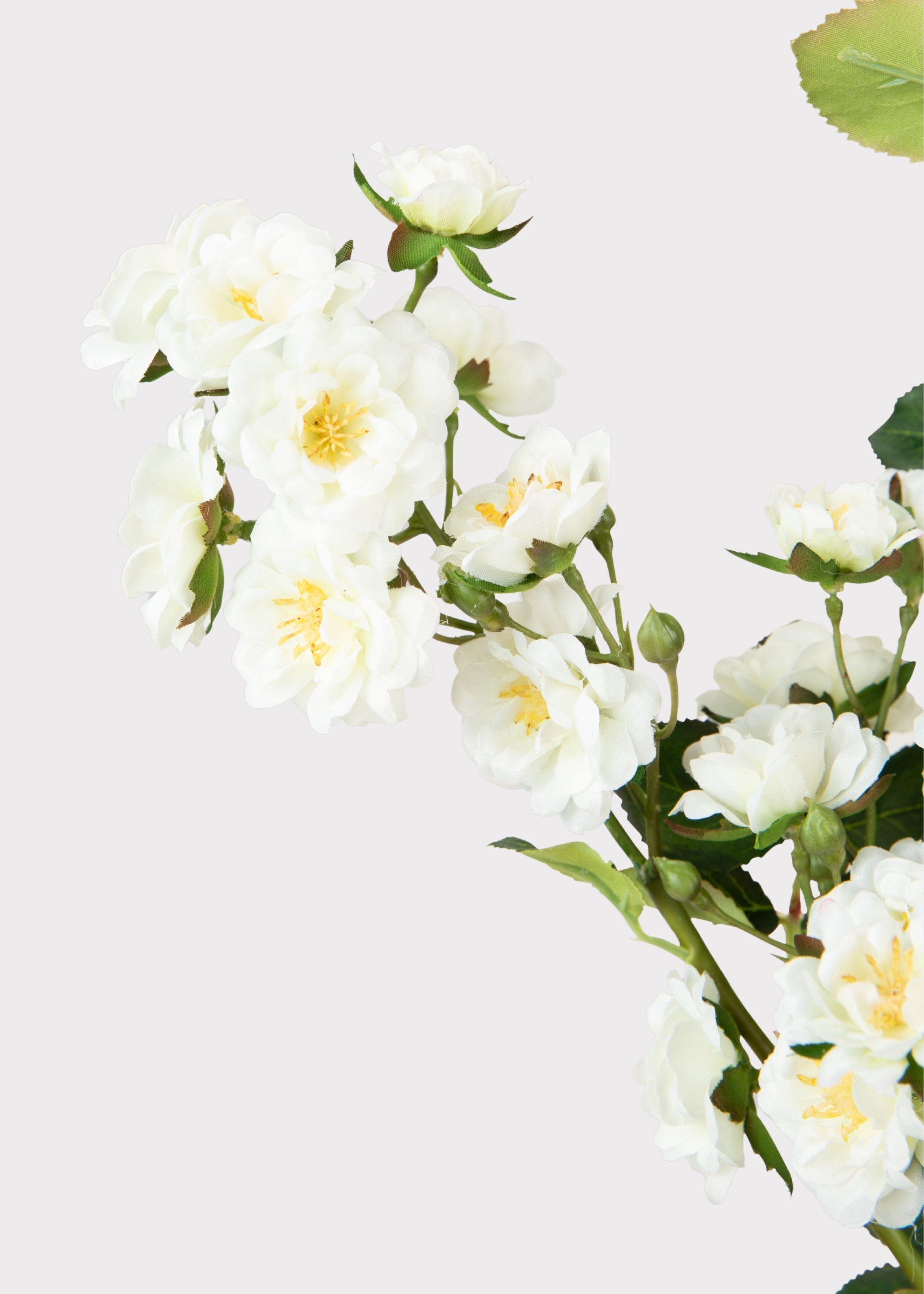 Cream Artificial Rose Branch for Home Decor