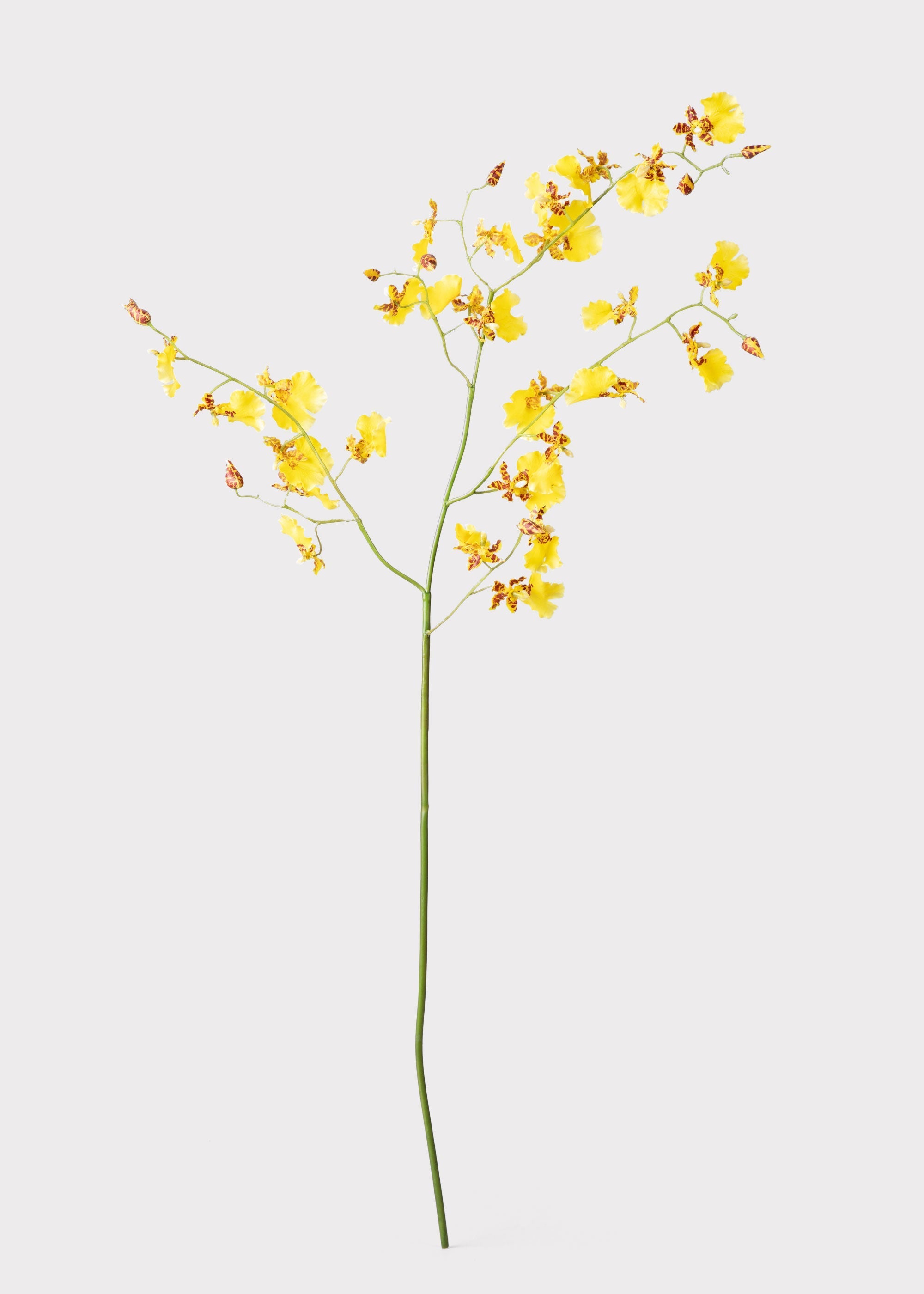 Yellow Artificial Orchid Stem for Wedding Decor