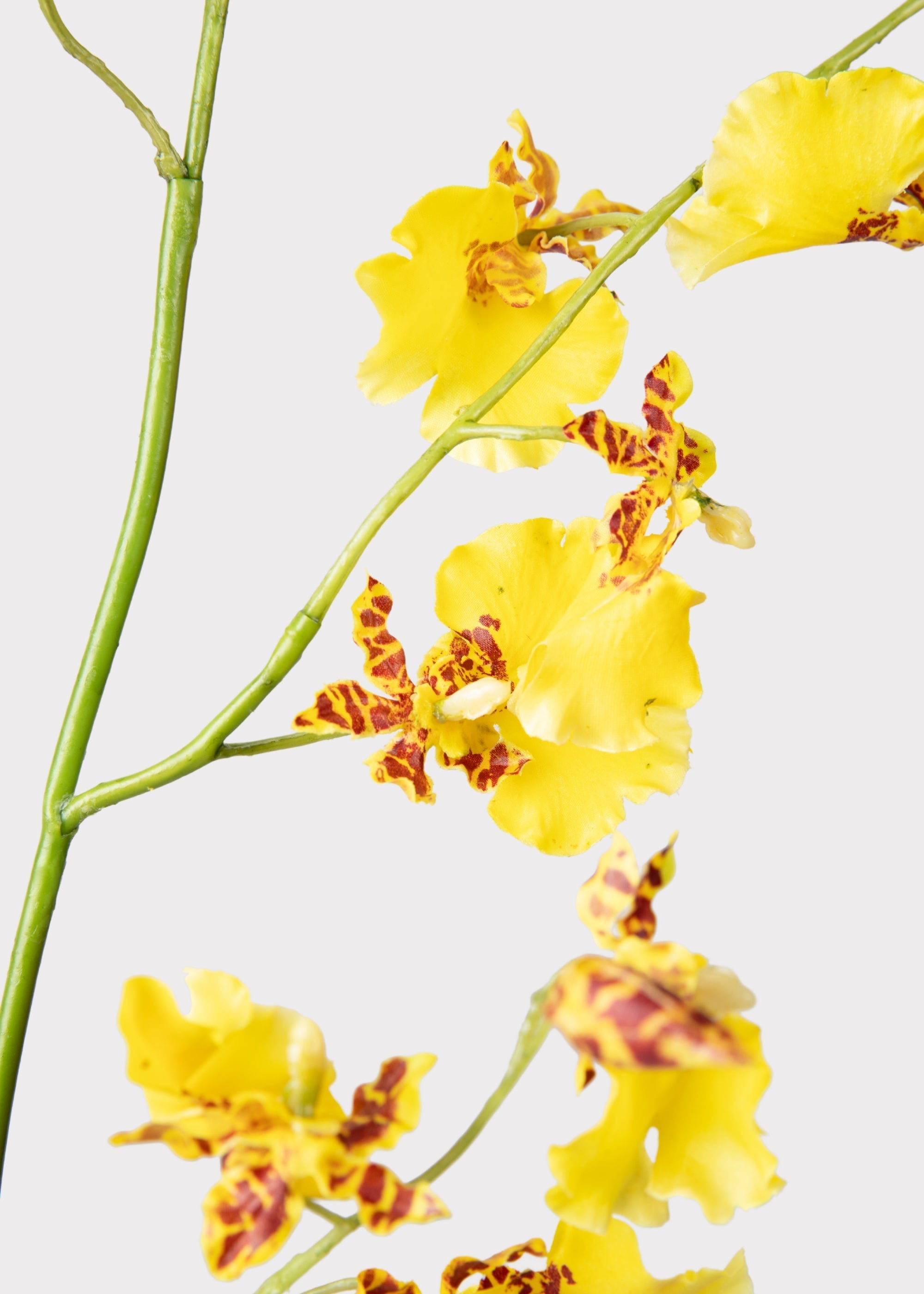 Yellow Artificial Orchid Stem for Table Centerpiece