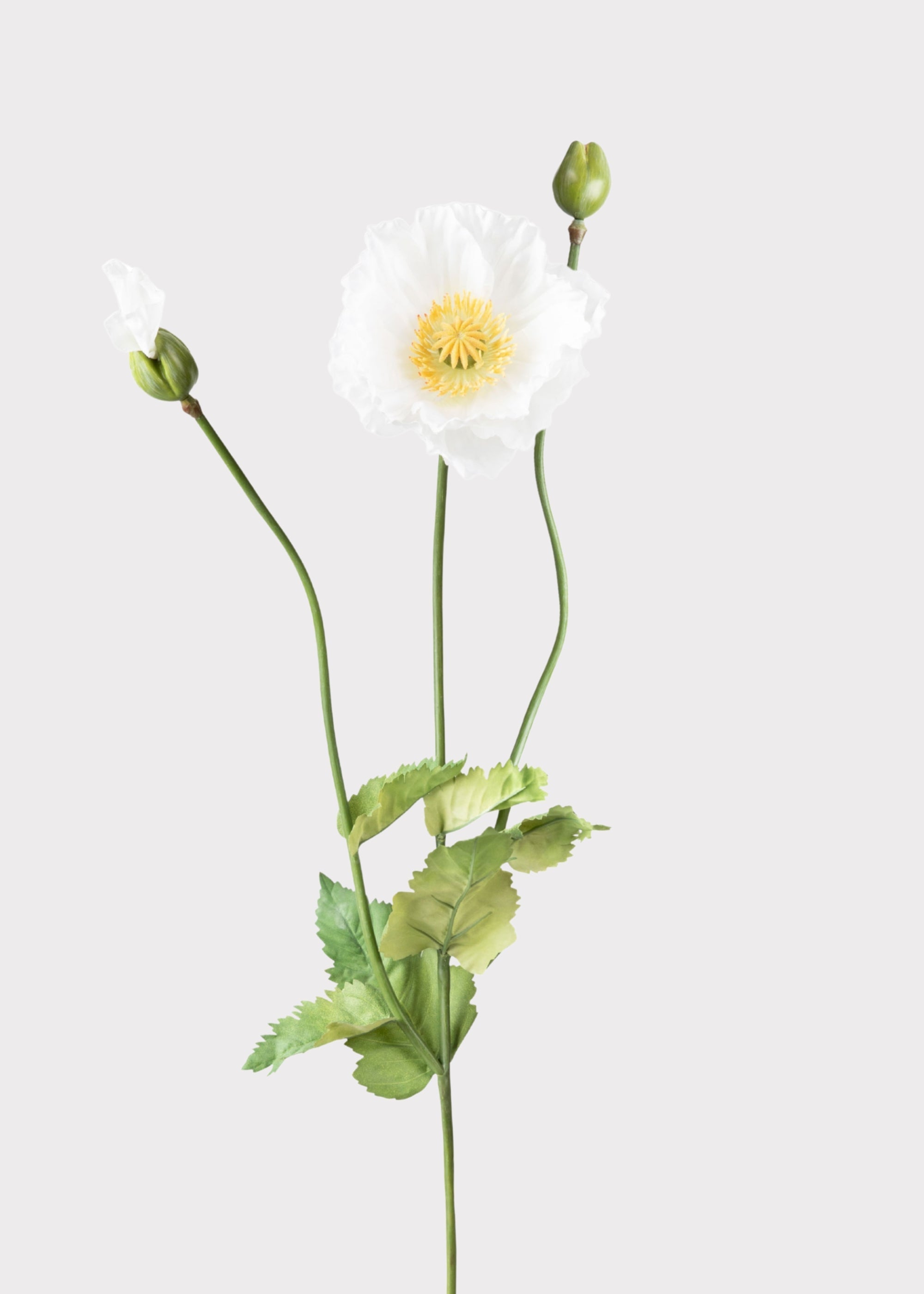 Cream Artificial Poppy Stem for Vase Styling