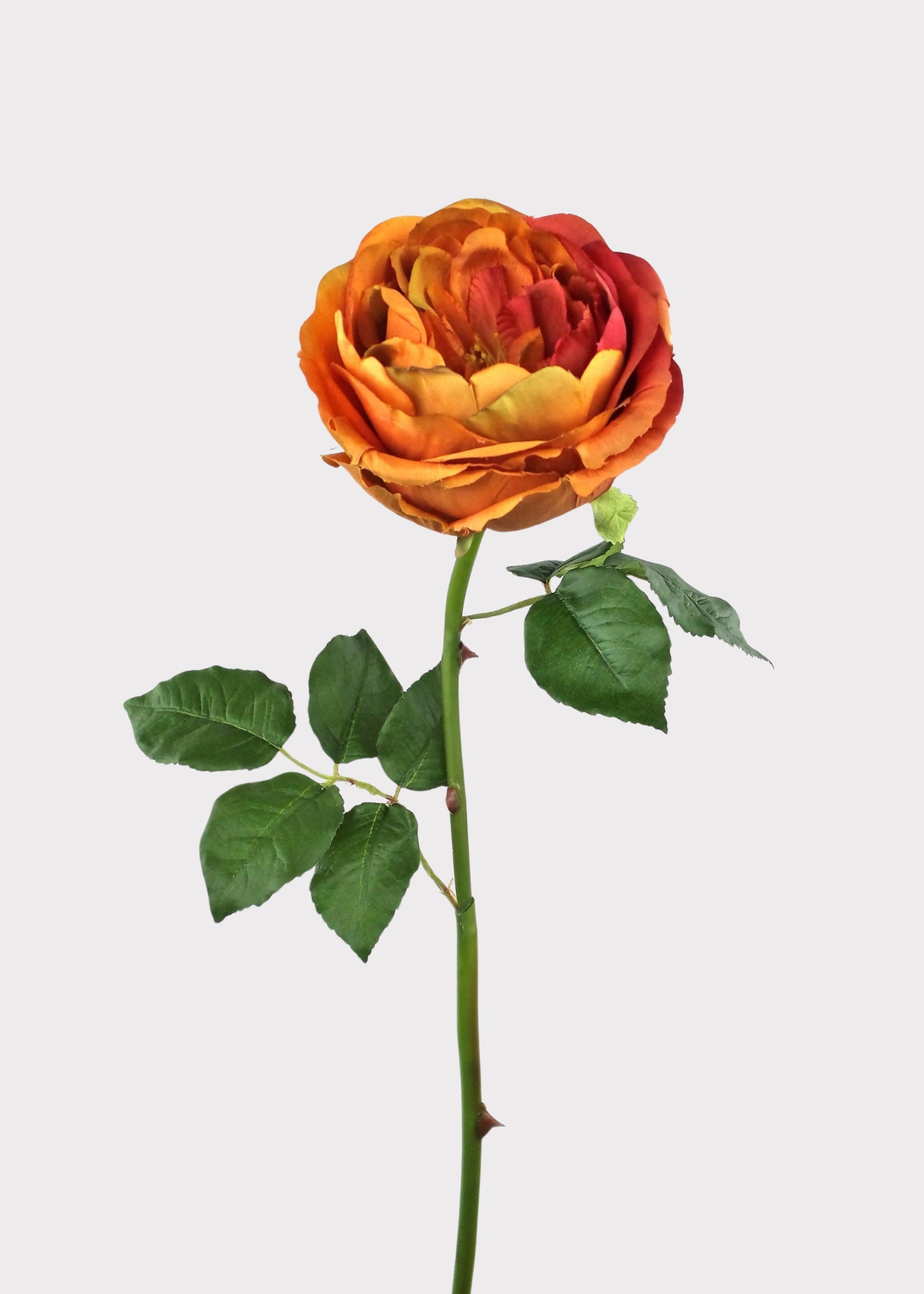 Orange Rose for Vase Styling