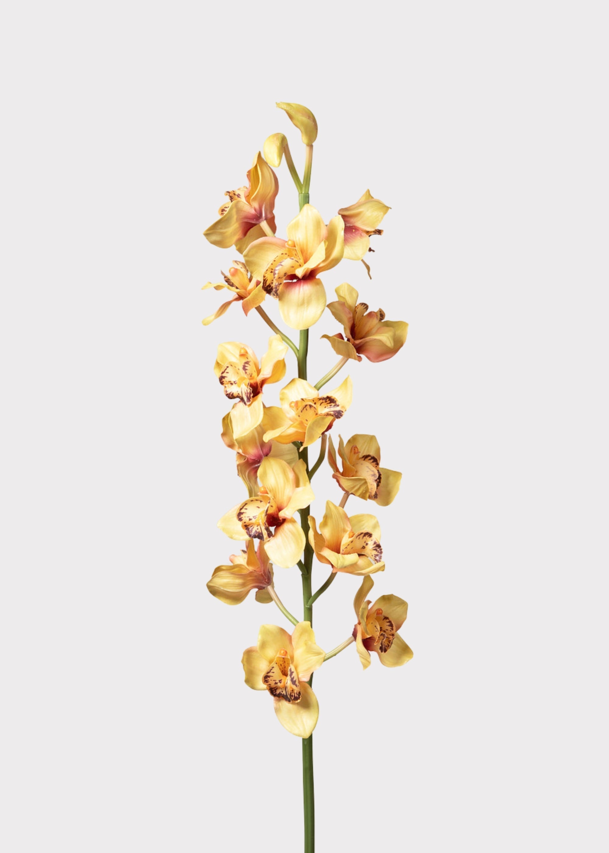 Yellow Artificial Orchid Stem for Vase Styling
