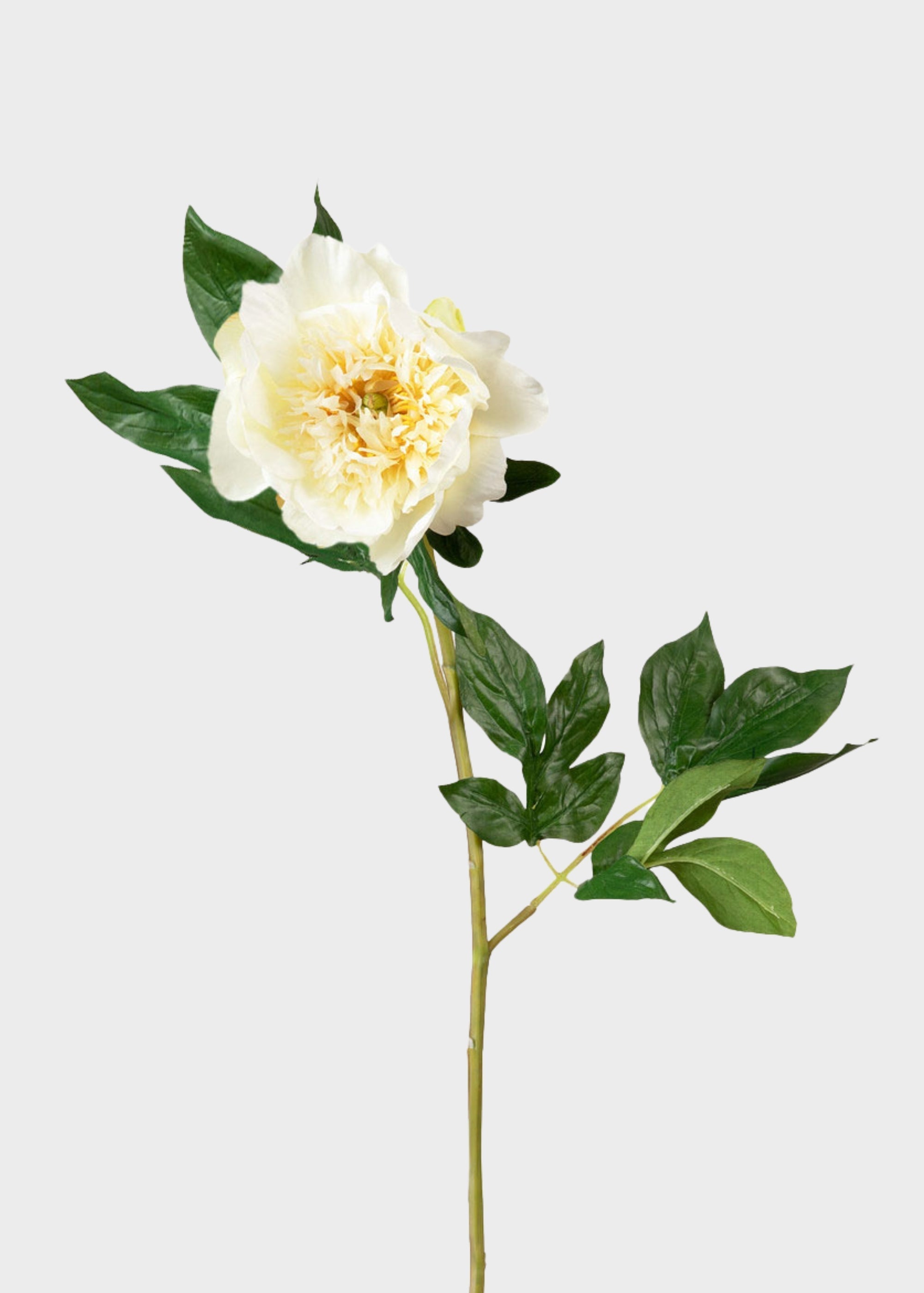 Yellow Artificial Peony Bundle for Vase Styling