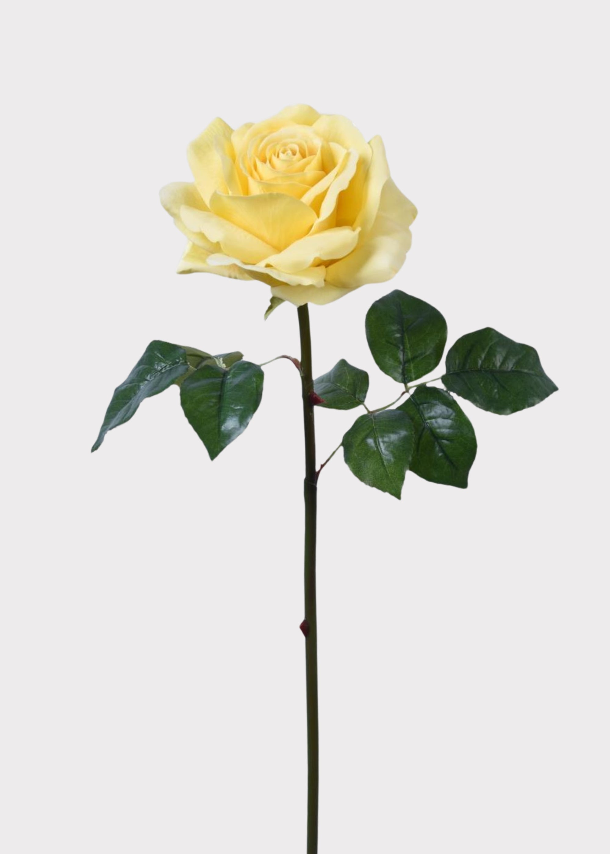 Yellow Natural Touch Artificial Rose Stem for Vase Styling