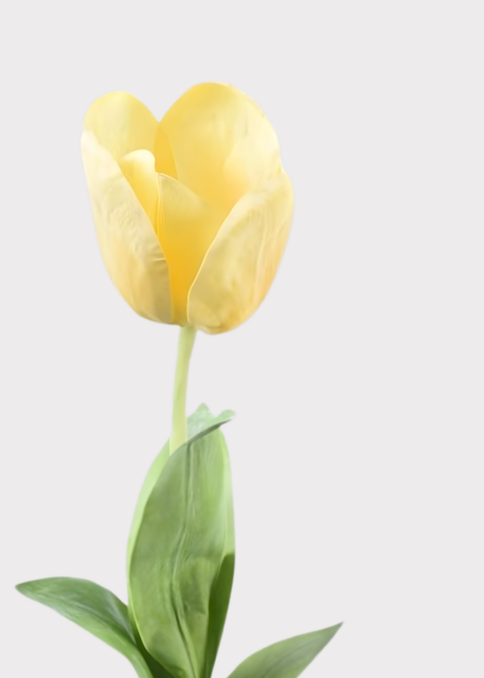 Yellow Natural Touch Artificial Tulip Stem for Home Decor