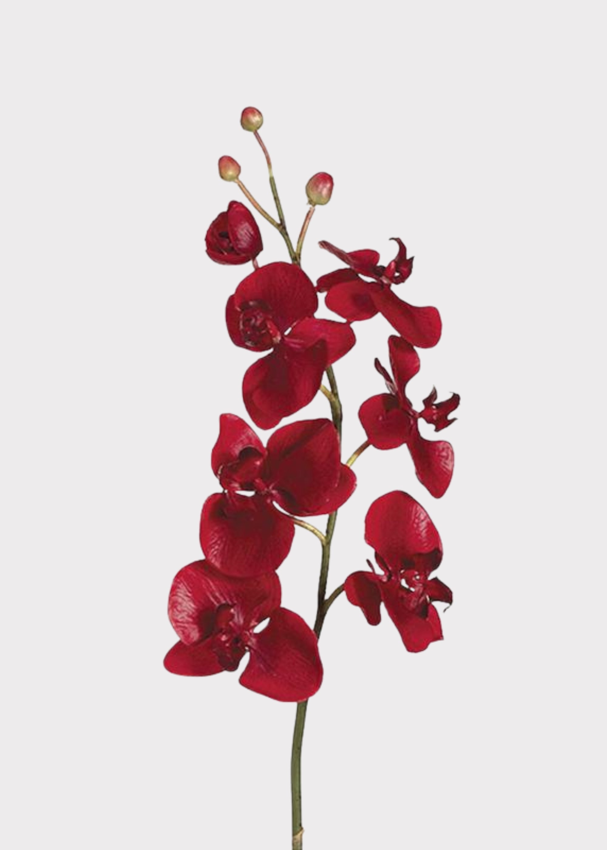 Red Artificial Orchid Stem for Vase Styling