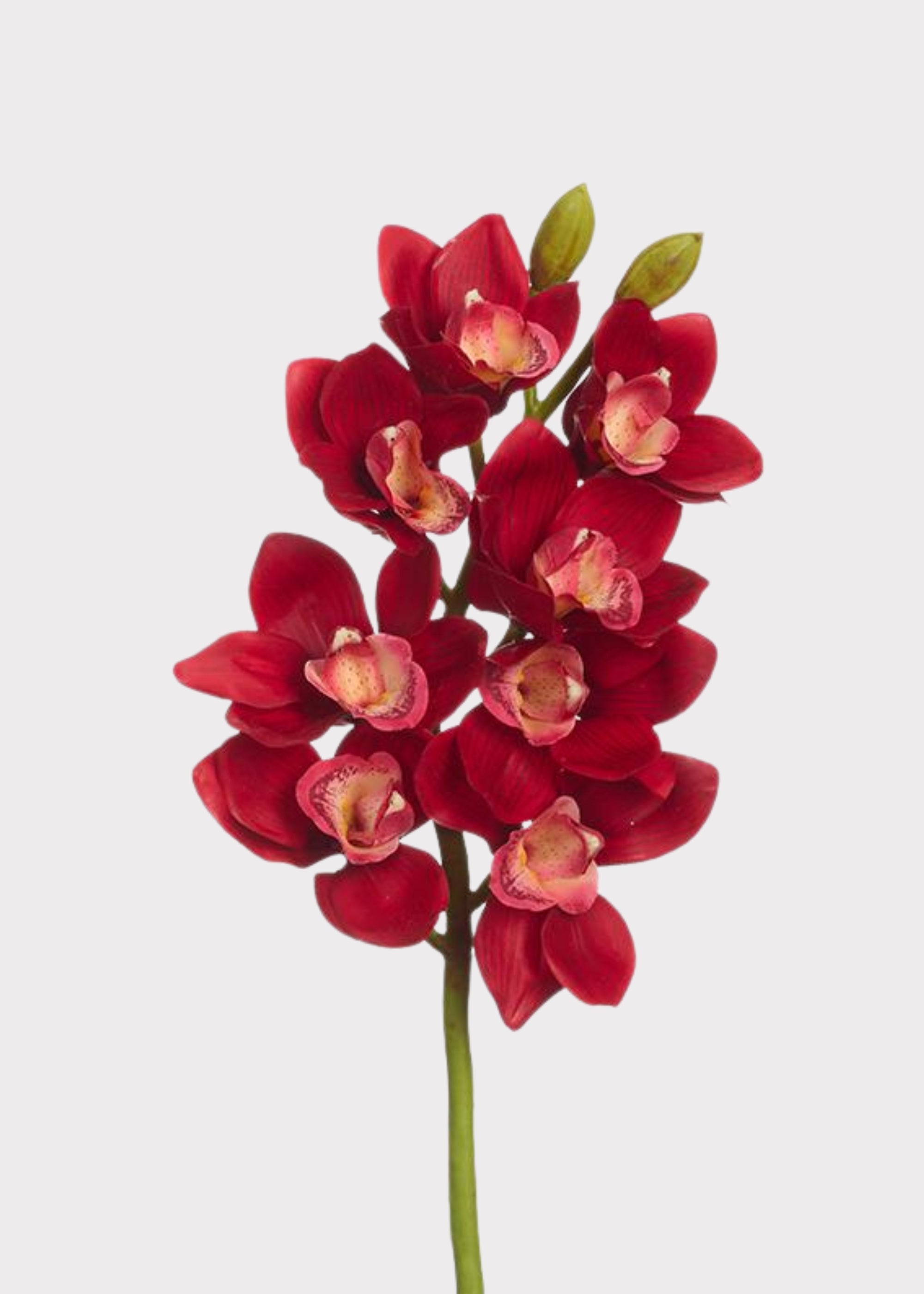 Red Artificial Orchid Stem for Vase Styling