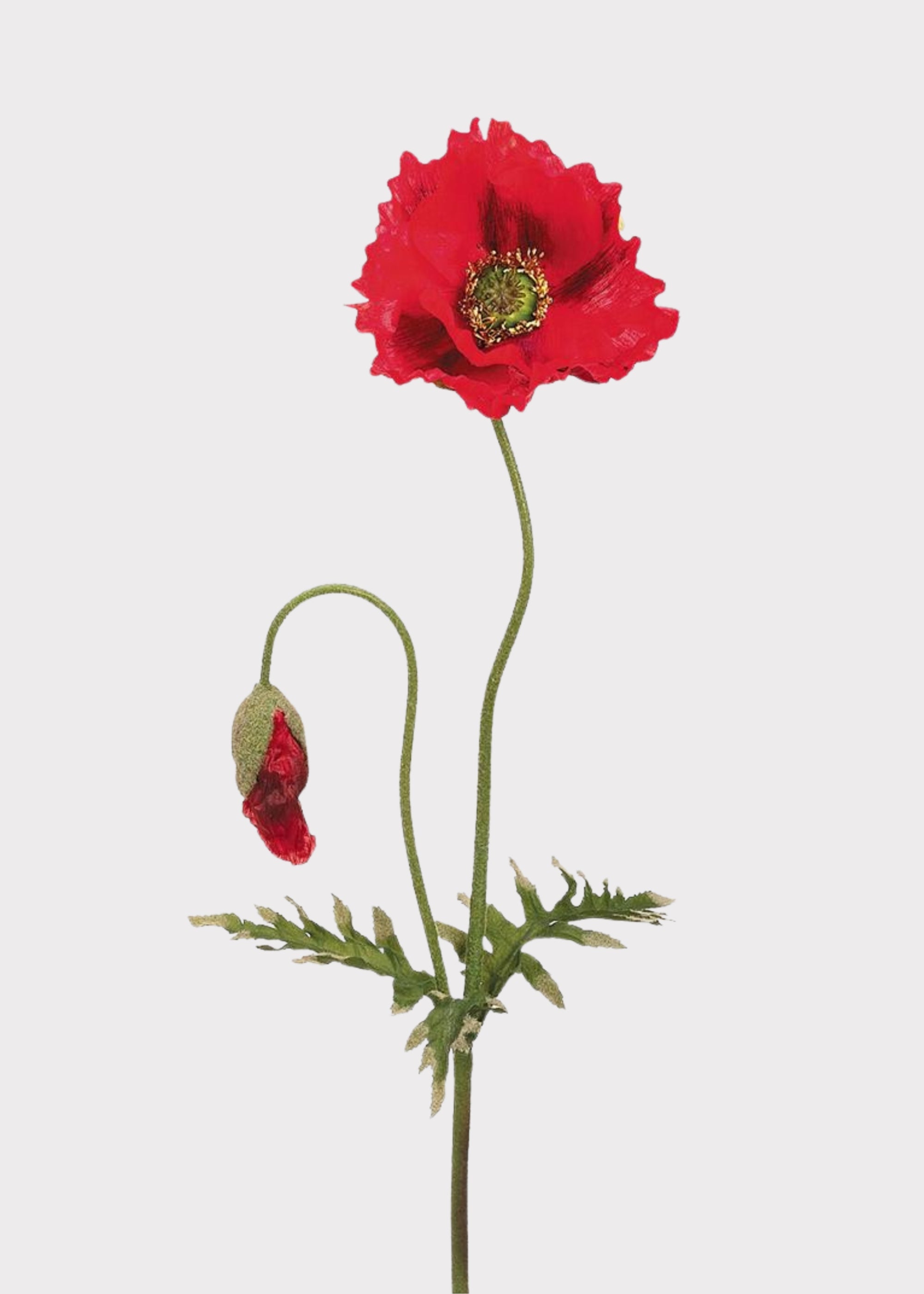 Red Artificial Poppy Stem for Vase Styling