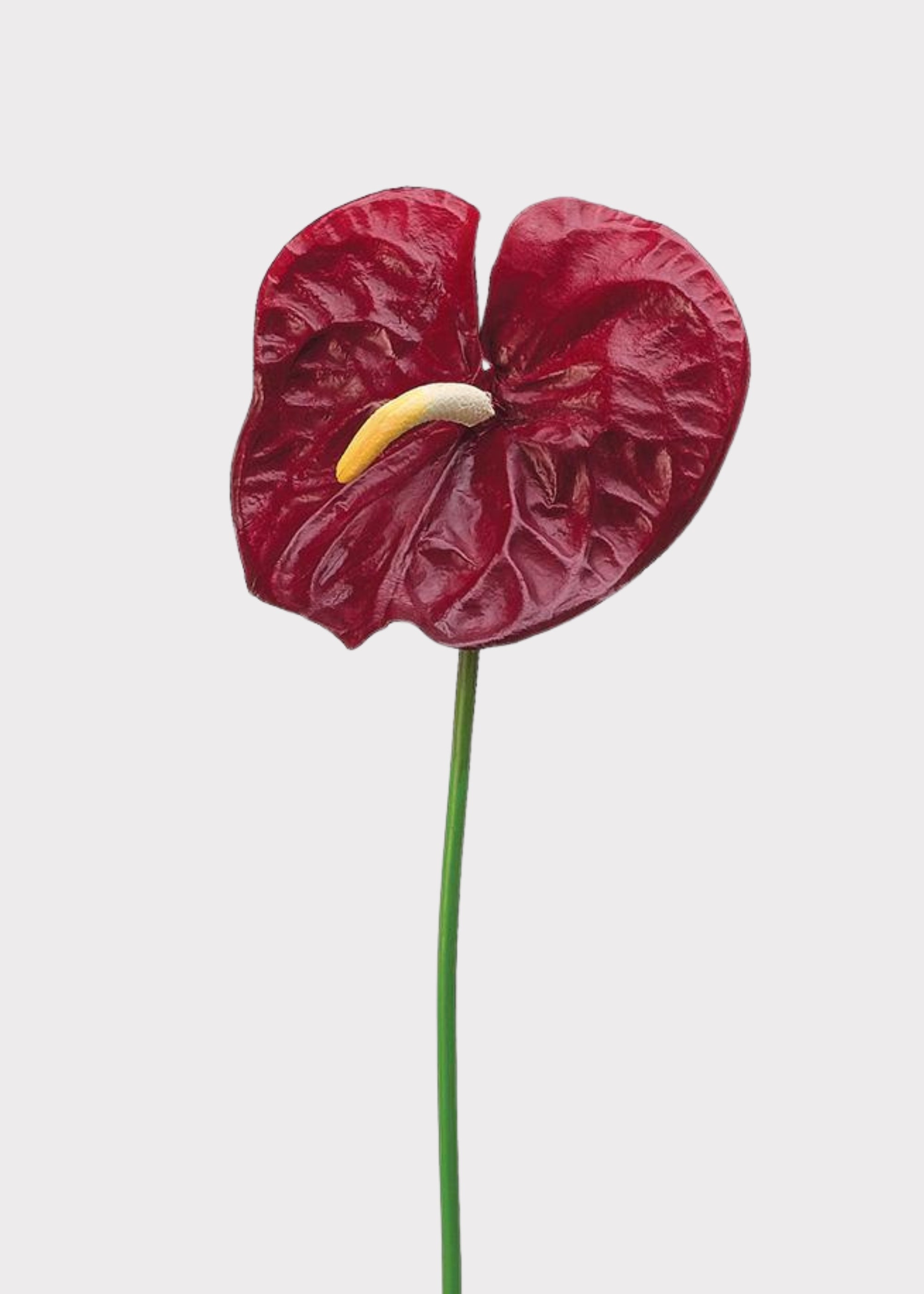 Red Artificial Dark Red Anthurium Tropical for Vase Styling