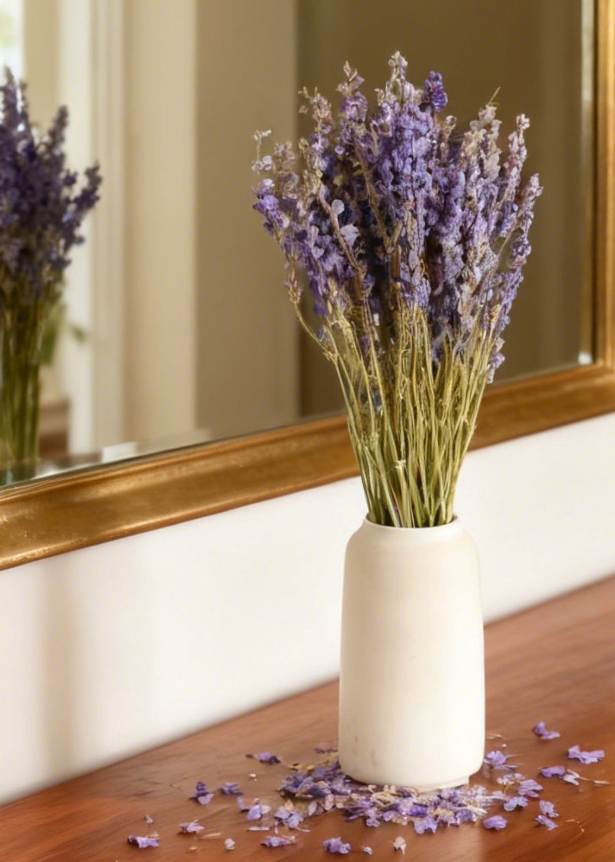 Purple Dried Larkspur Wildflower Bundle Stems for Home Decor