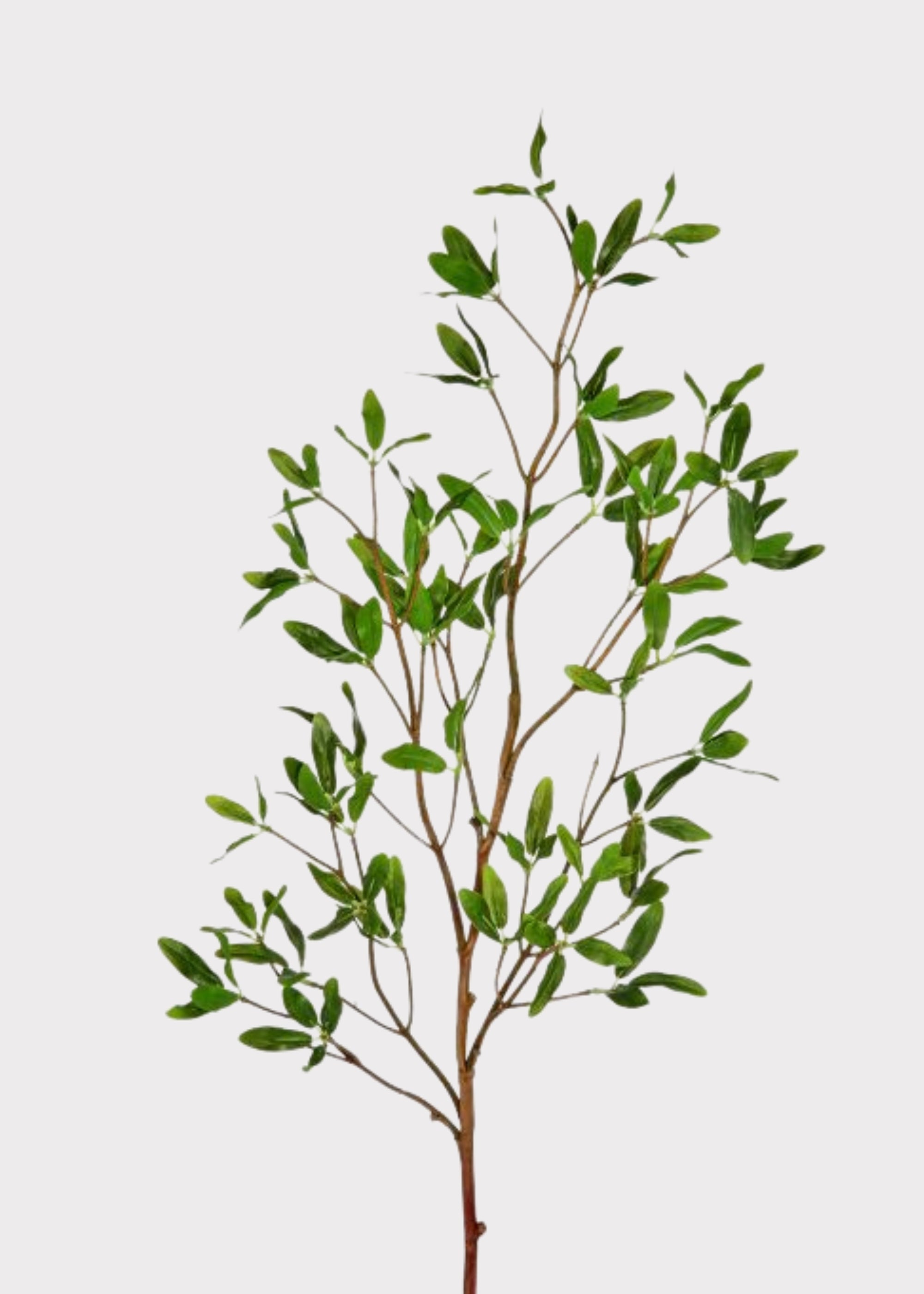 Green artificial Asian privet leaf branch for vase styling