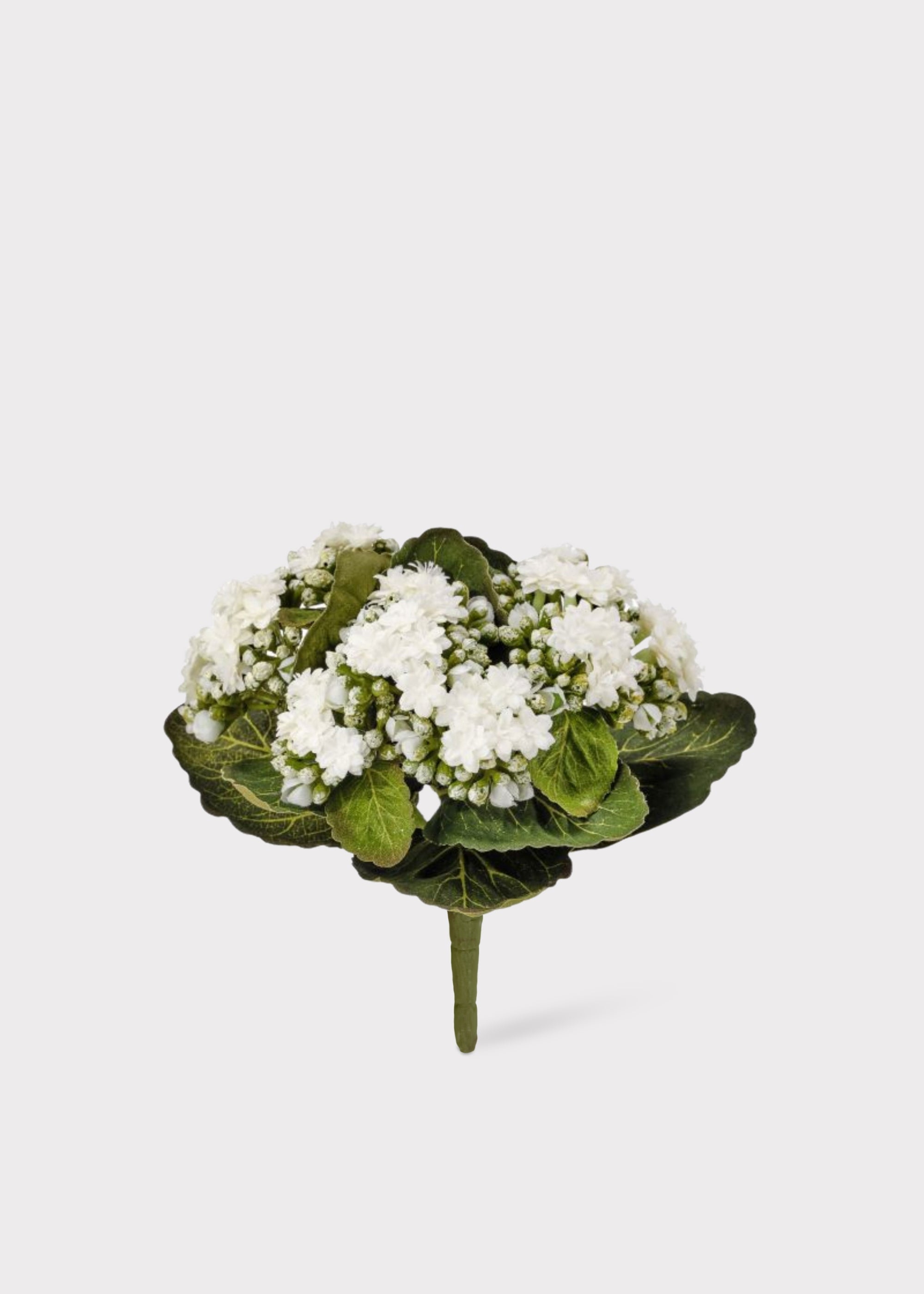 Cream Artificial White Small Kalanchoe Blooming for Vase Styling