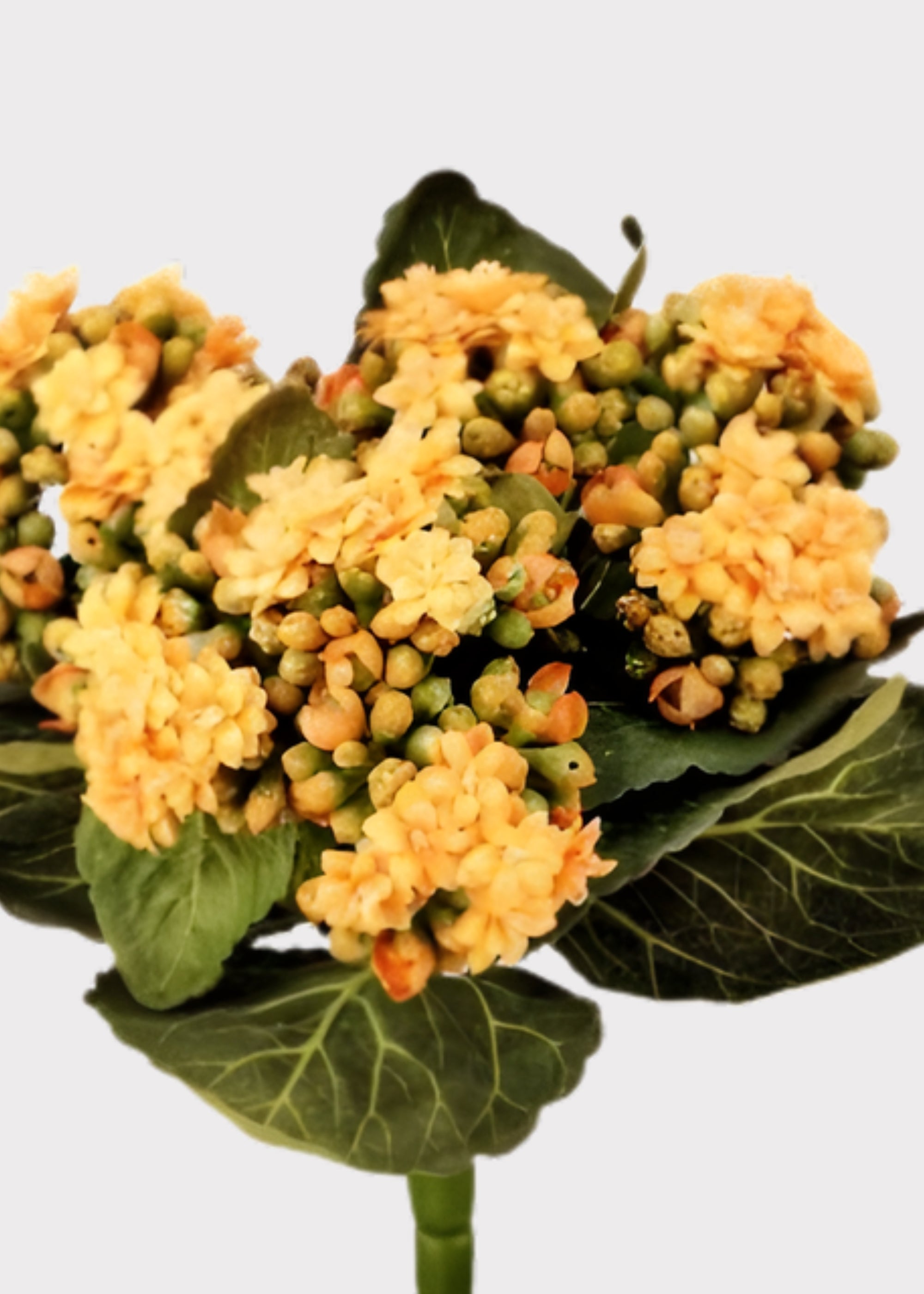 Yellow Artificial Small Kalanchoe Blooming for Home Decor