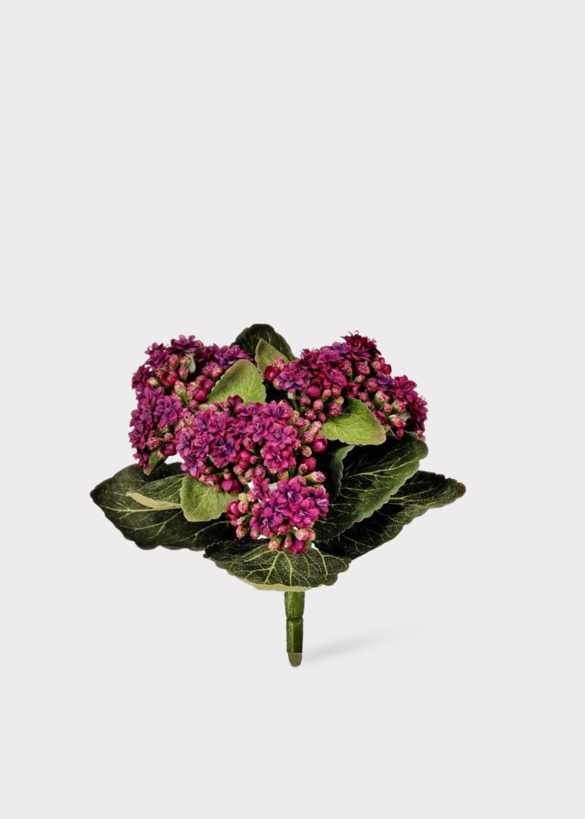 Purple Artificial Small Kalanchoe Blooming for Vase Styling