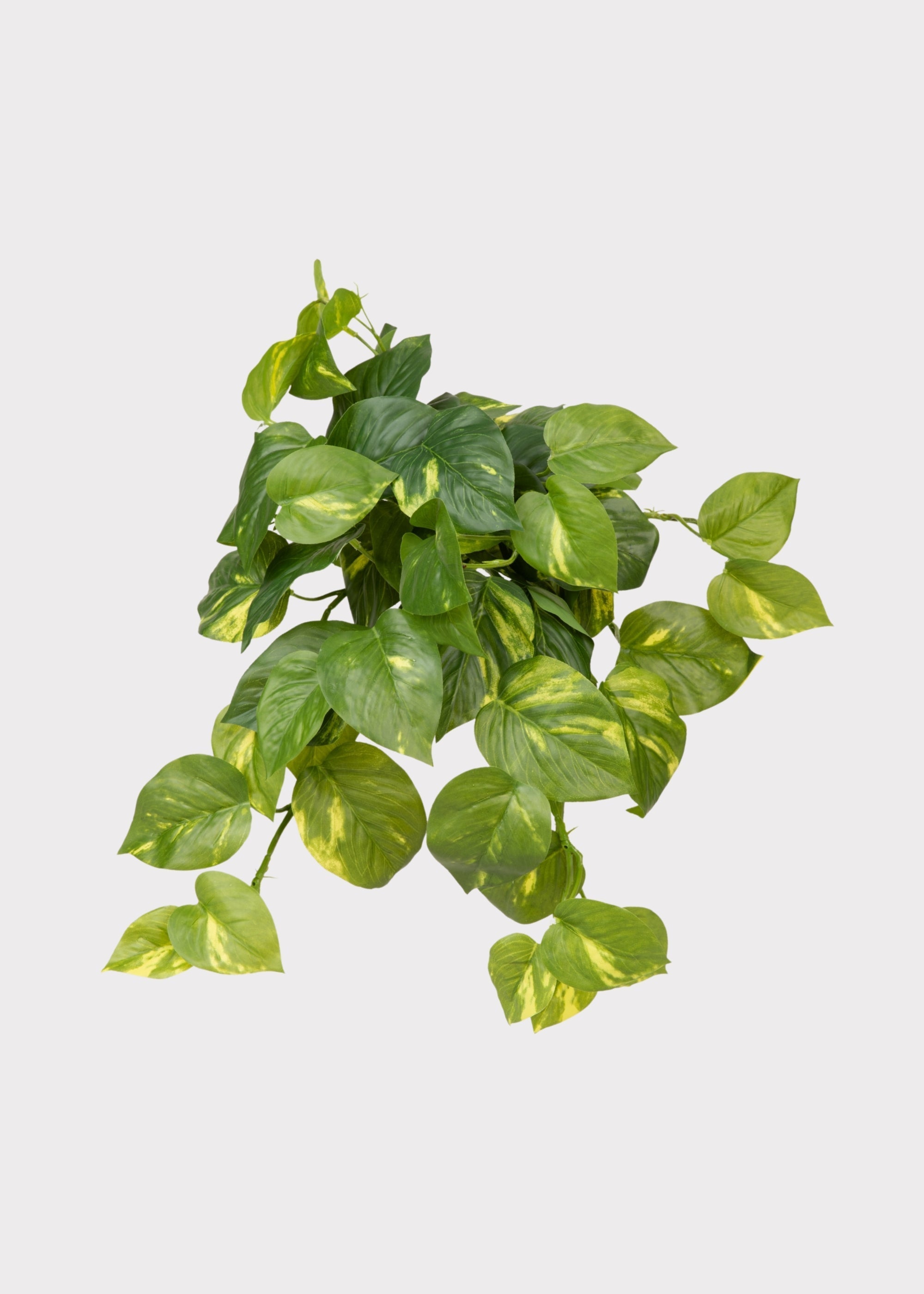 Green Artificial Pothos Hanging for Vase Styling