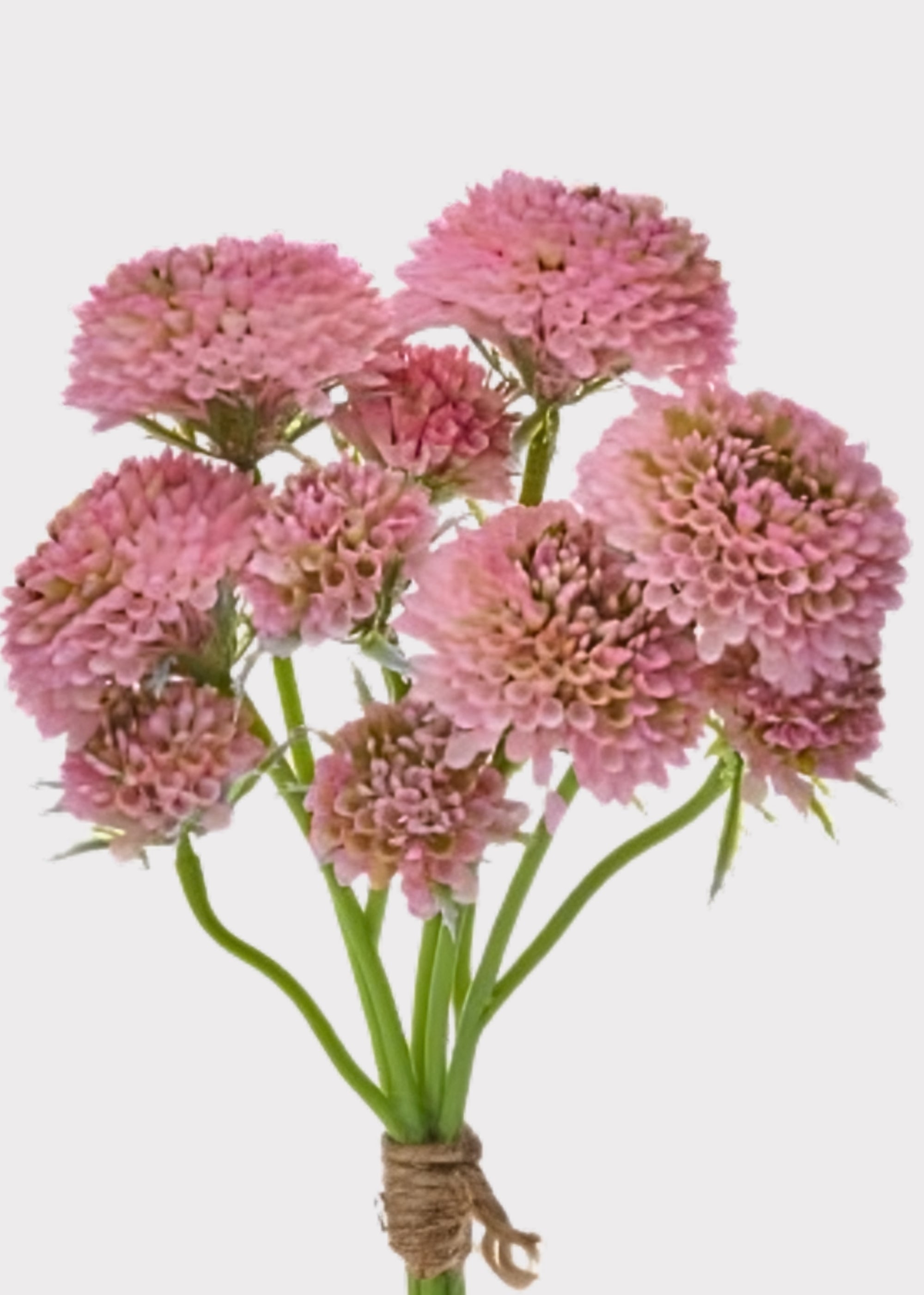 Pink Artificial Scabiosa Bundle for Vase Styling