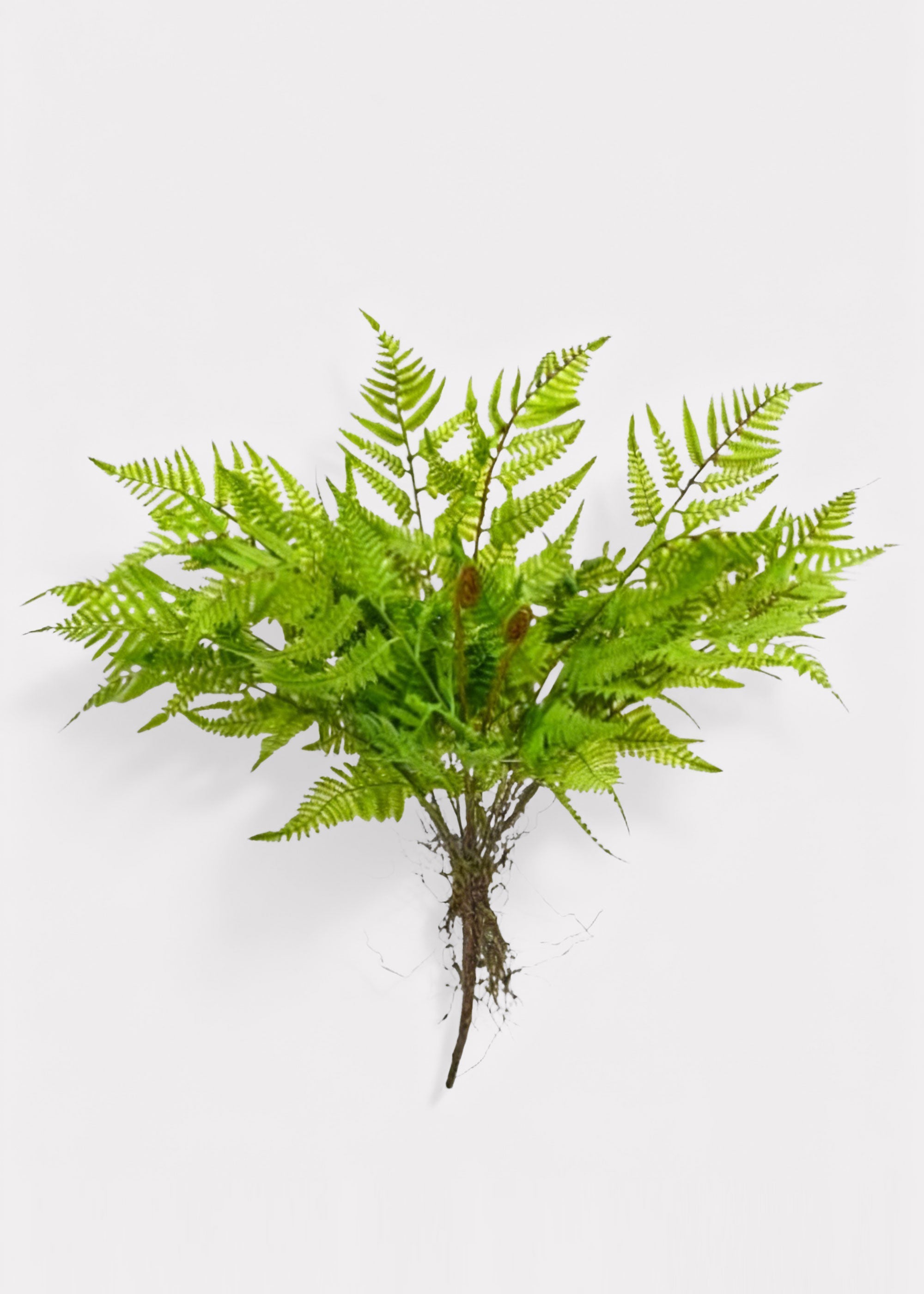 Natural Green Artificial Fern Bush for Vase Styling