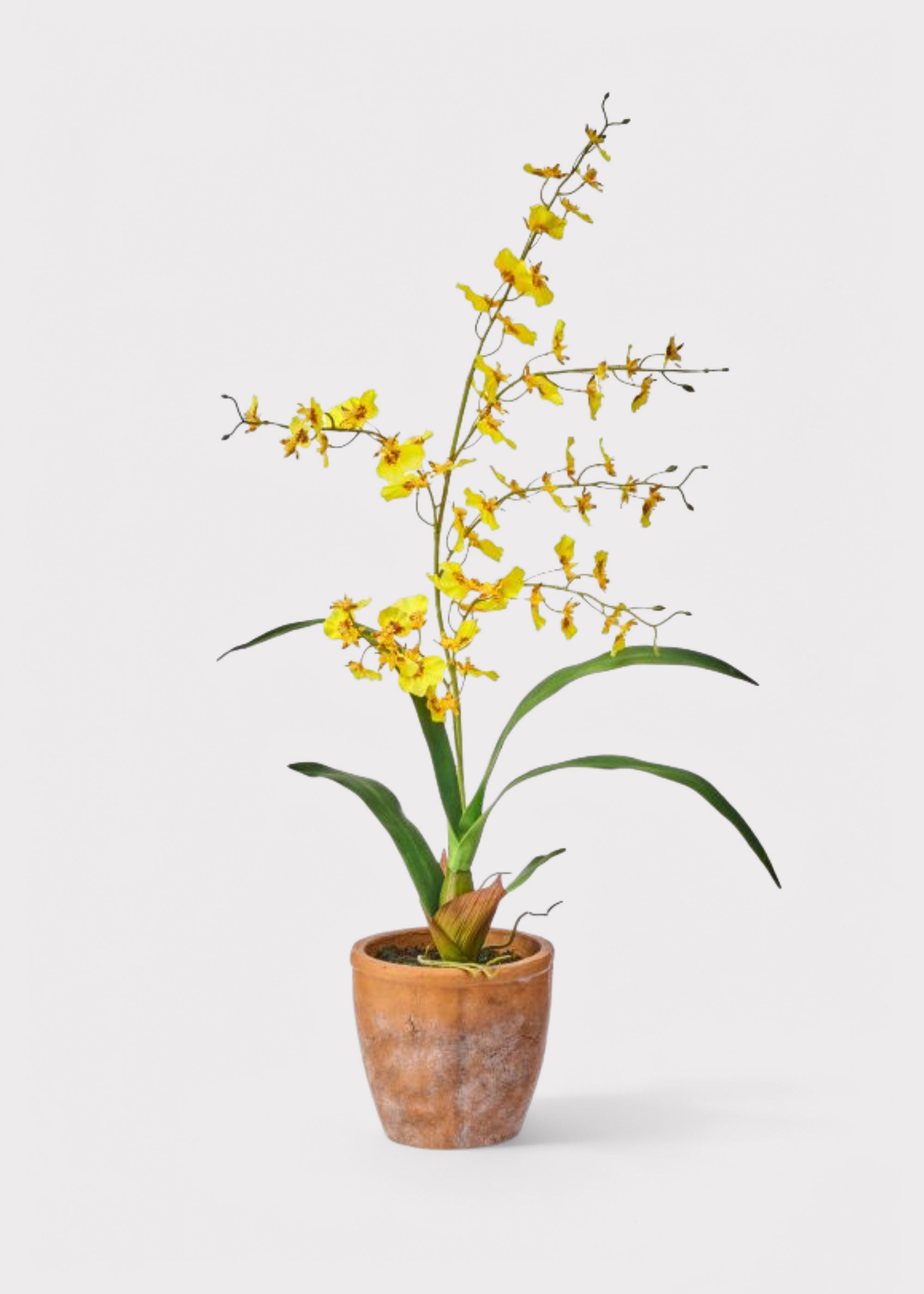 Yellow Natural Touch Artificial Orchid Potted Plant for Vase Styling