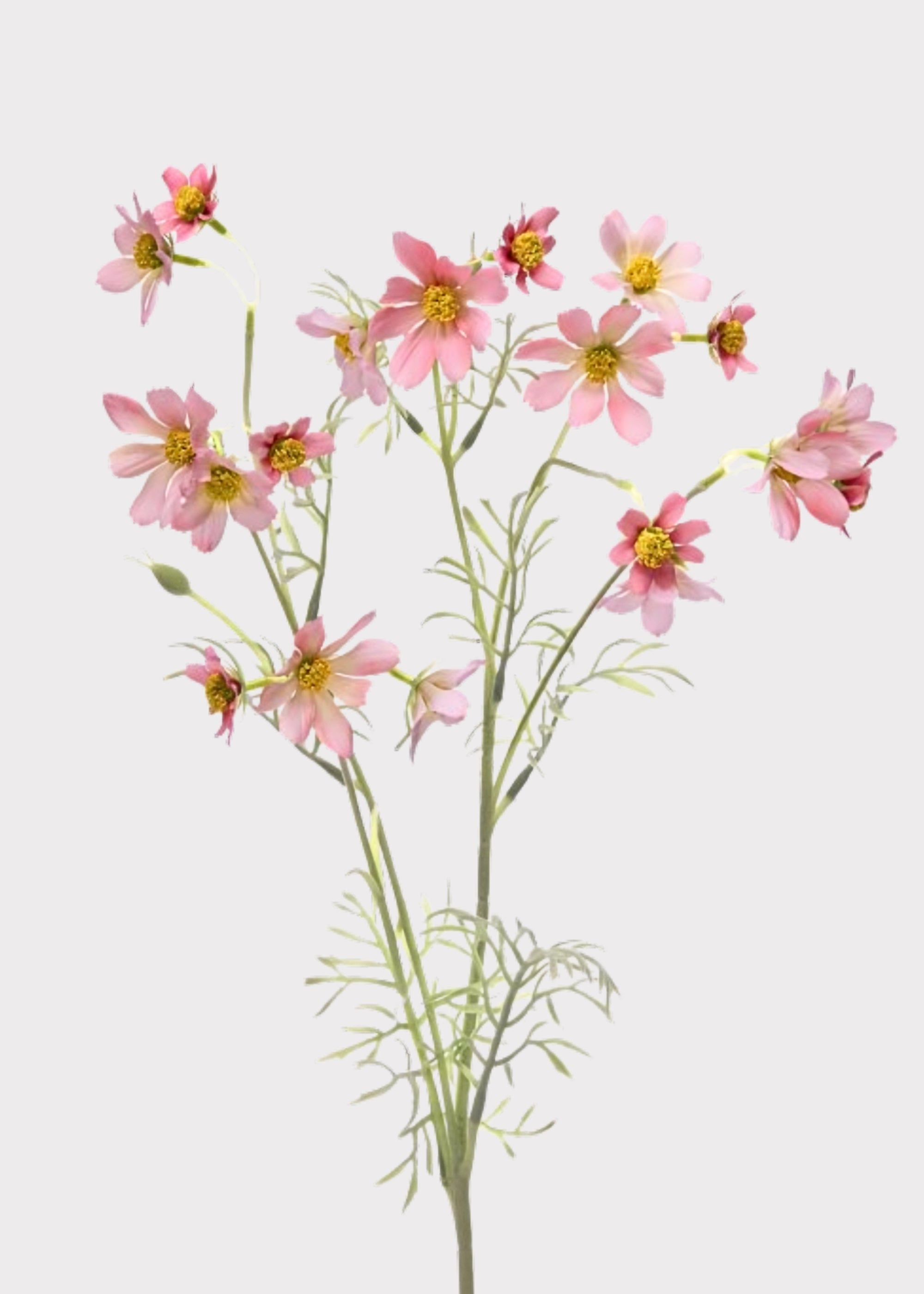 Pink Artificial Cosmos Spray for Vase Styling