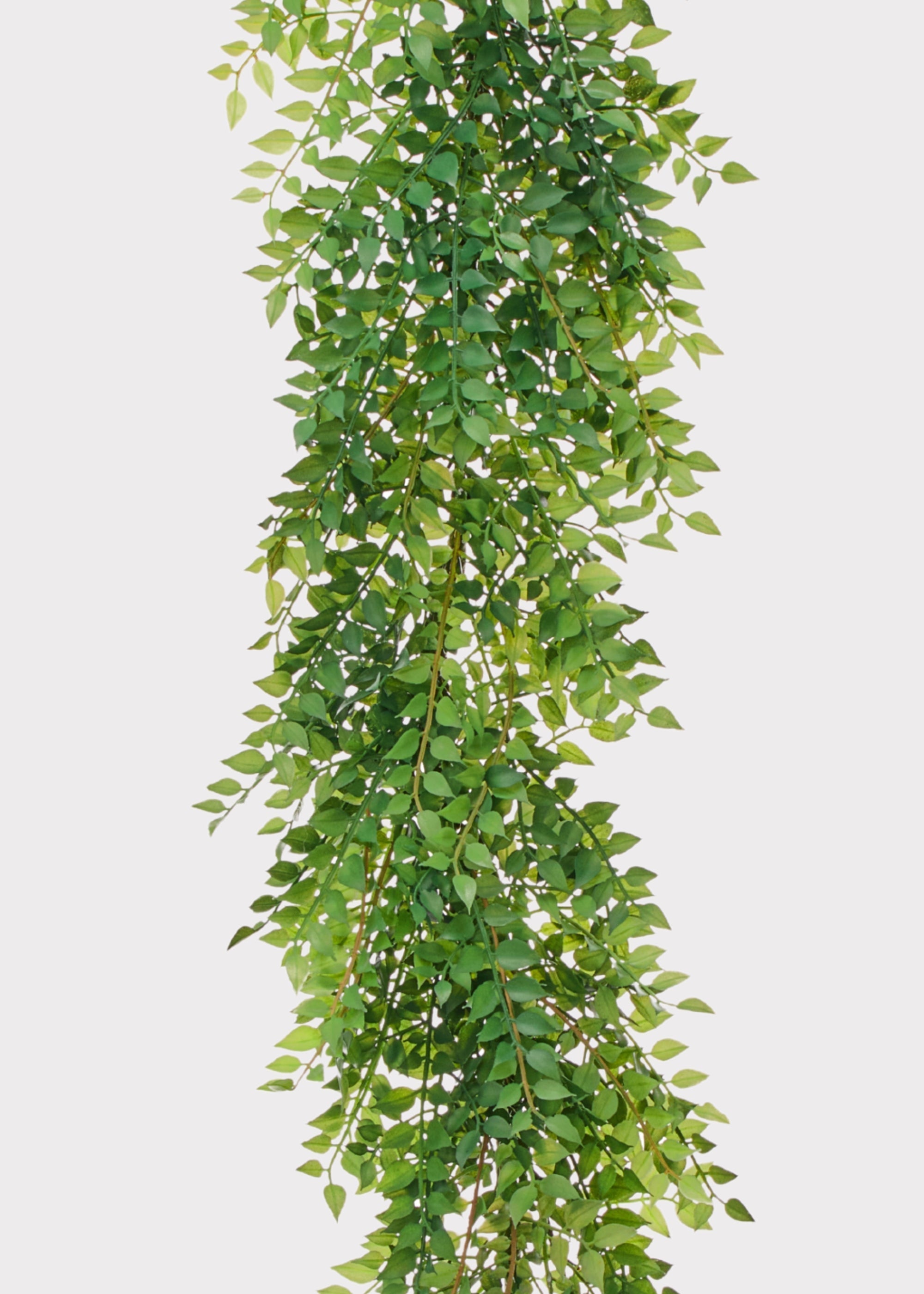 Green Artificial Ruscus Garland for Home Decor