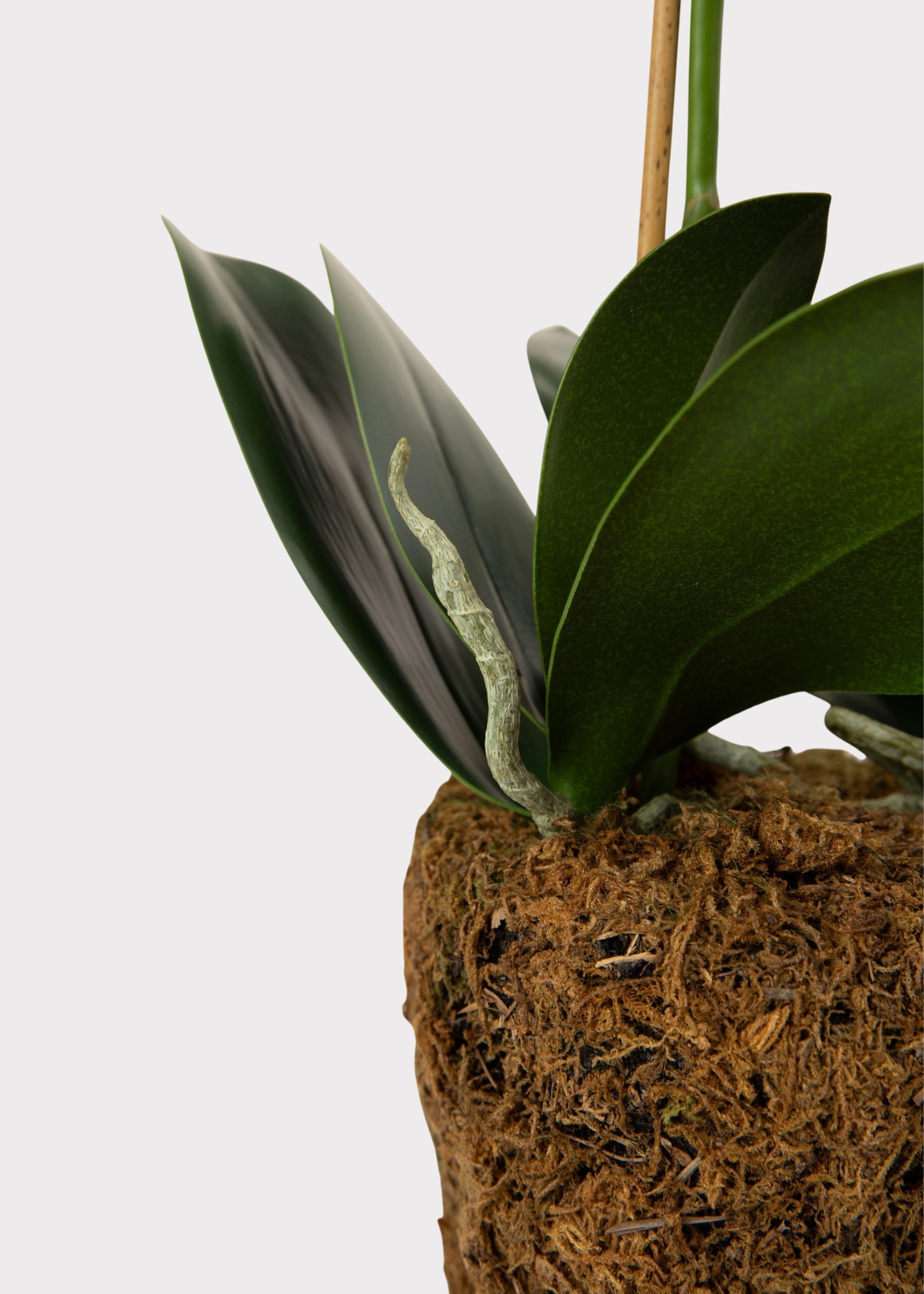 White Artificial Orchid Arrangement for Wedding Decor