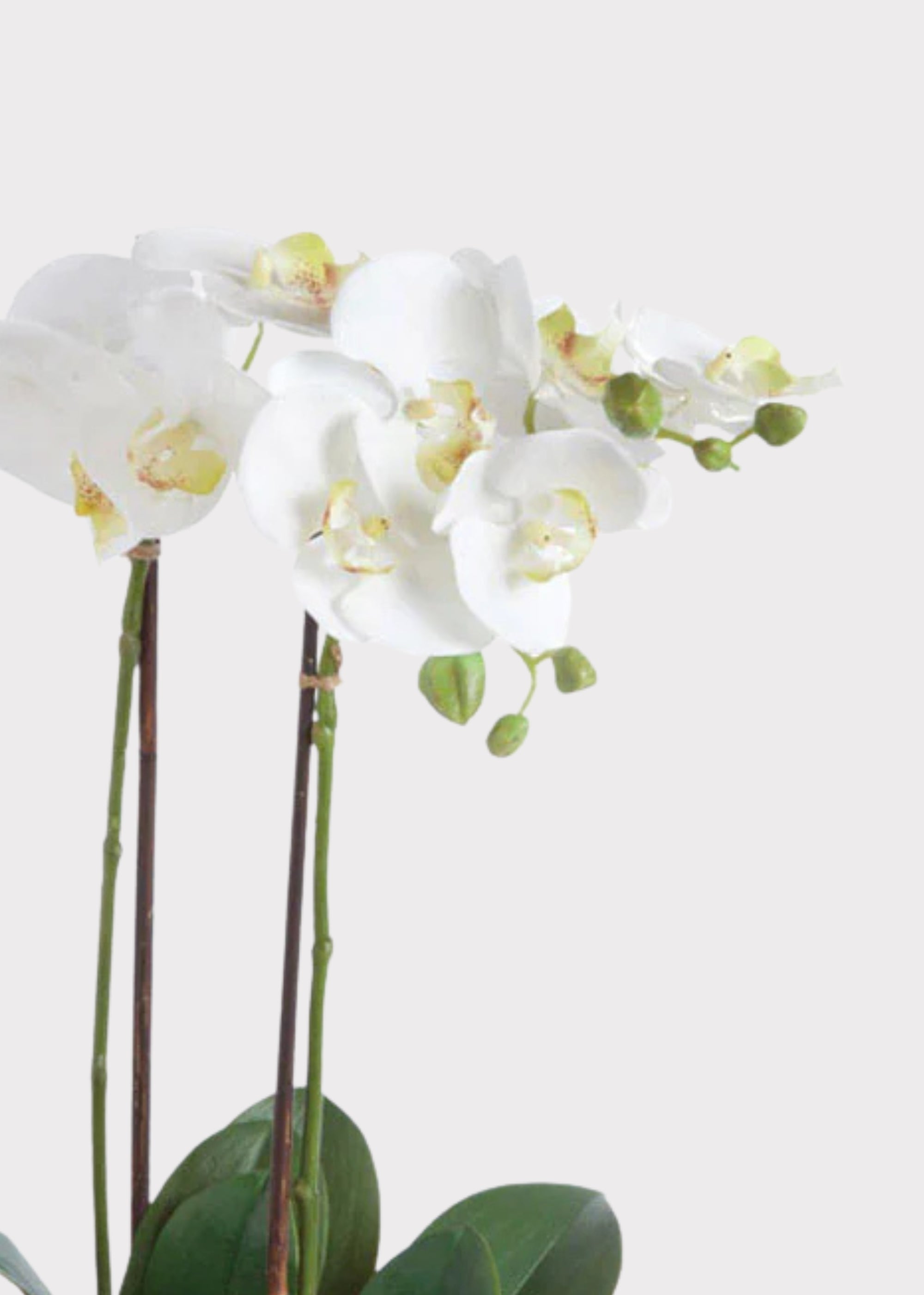 White Artificial Orchid Arrangement for Table Centerpiece