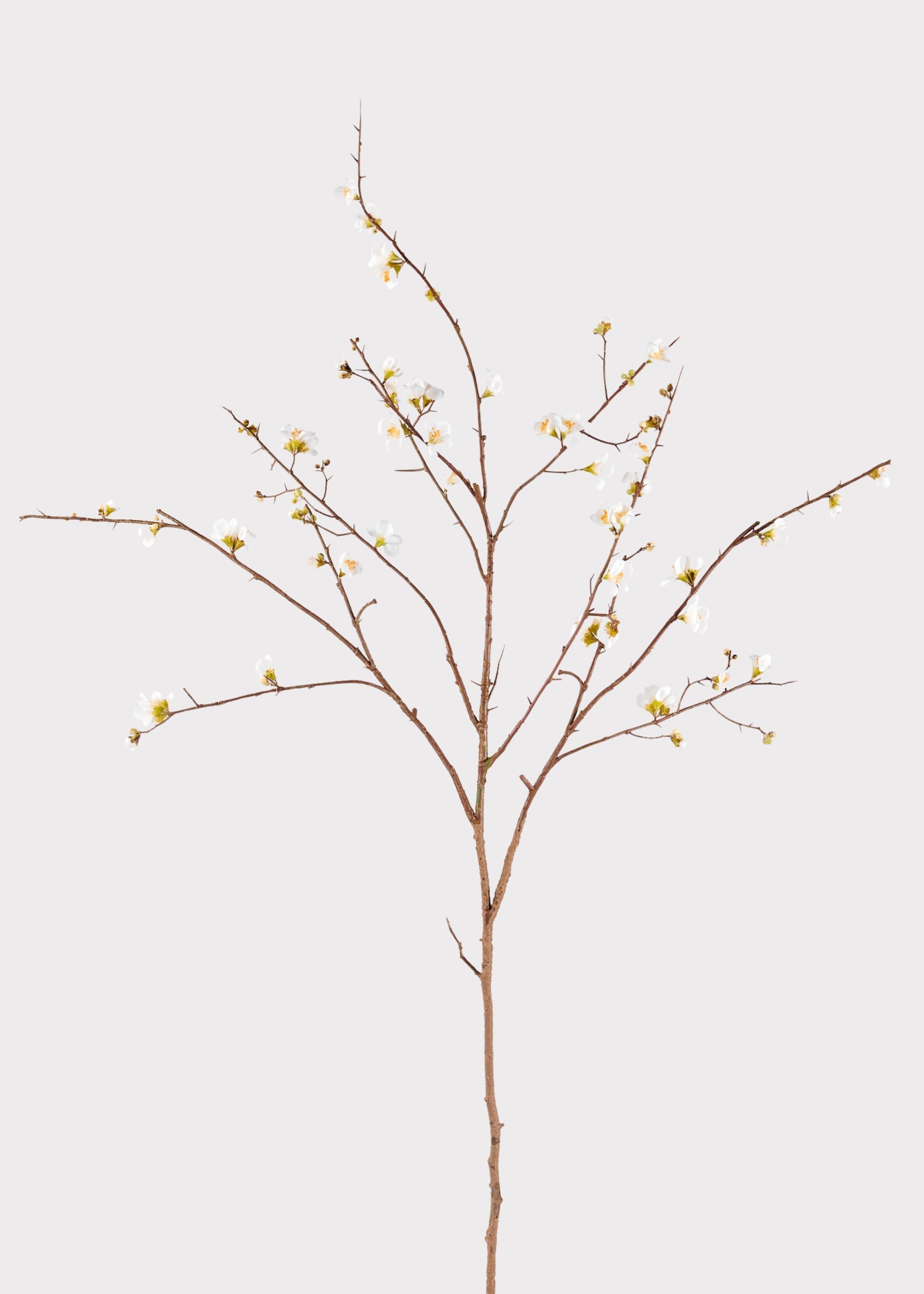 Cream Artificial Cherry Blossom Branch for Wedding Decor