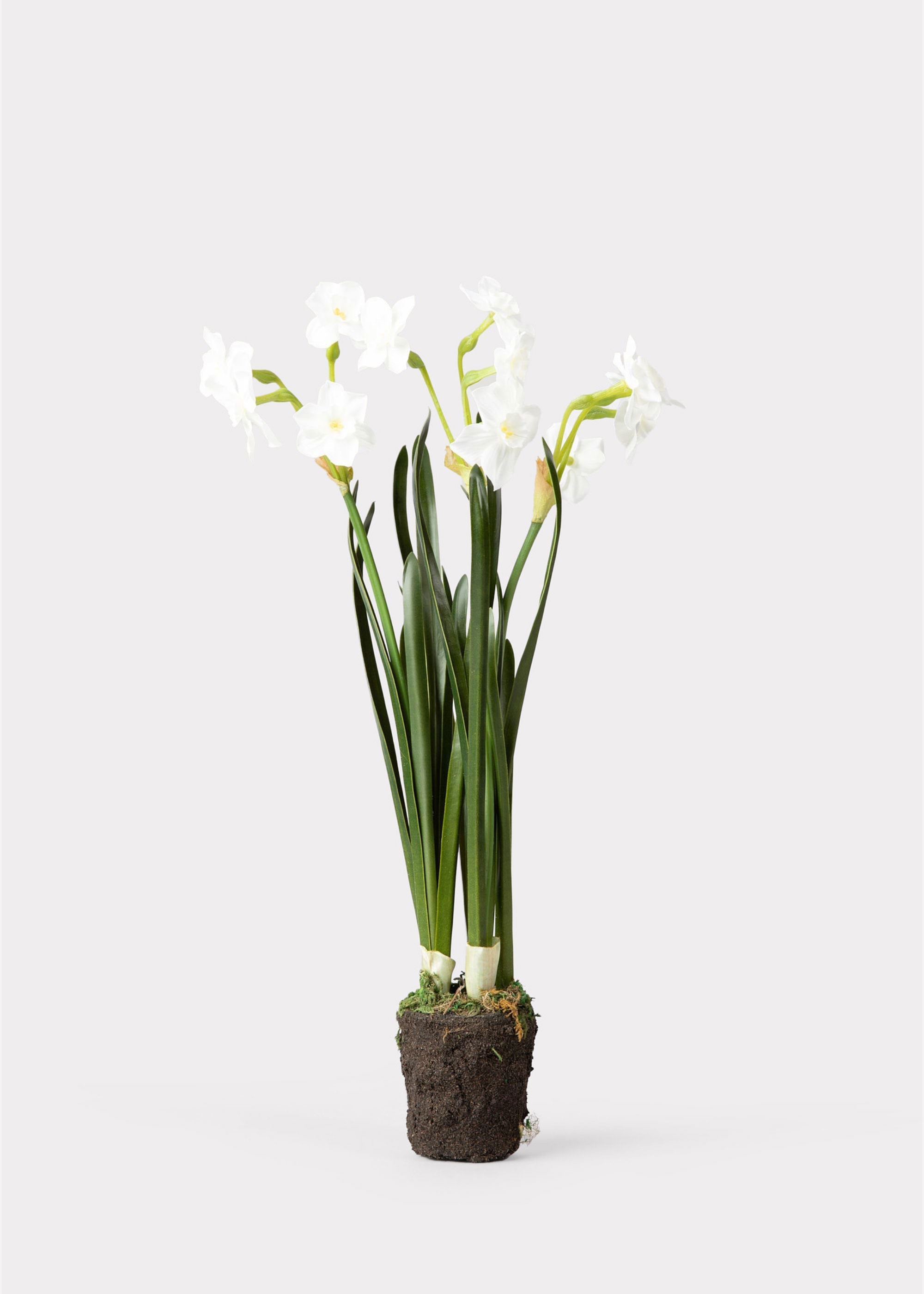 Green Artificial Spring Paperwhite Drop for Home Decor